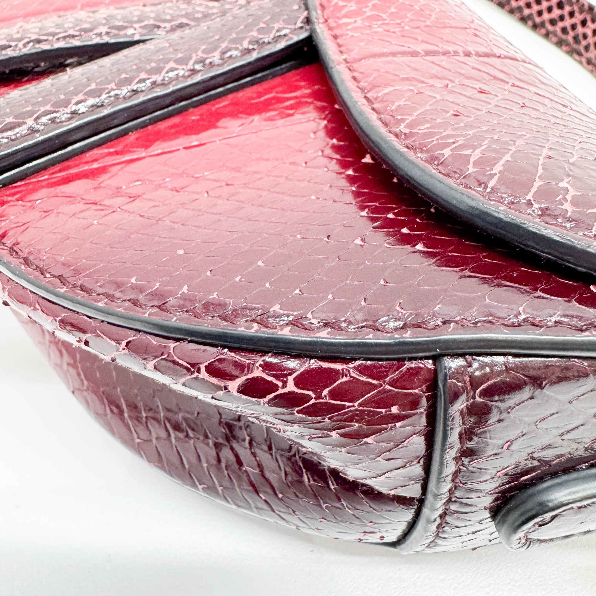 Mini Saddle Ombre Red Embossed Snake Leather Two Way Bag