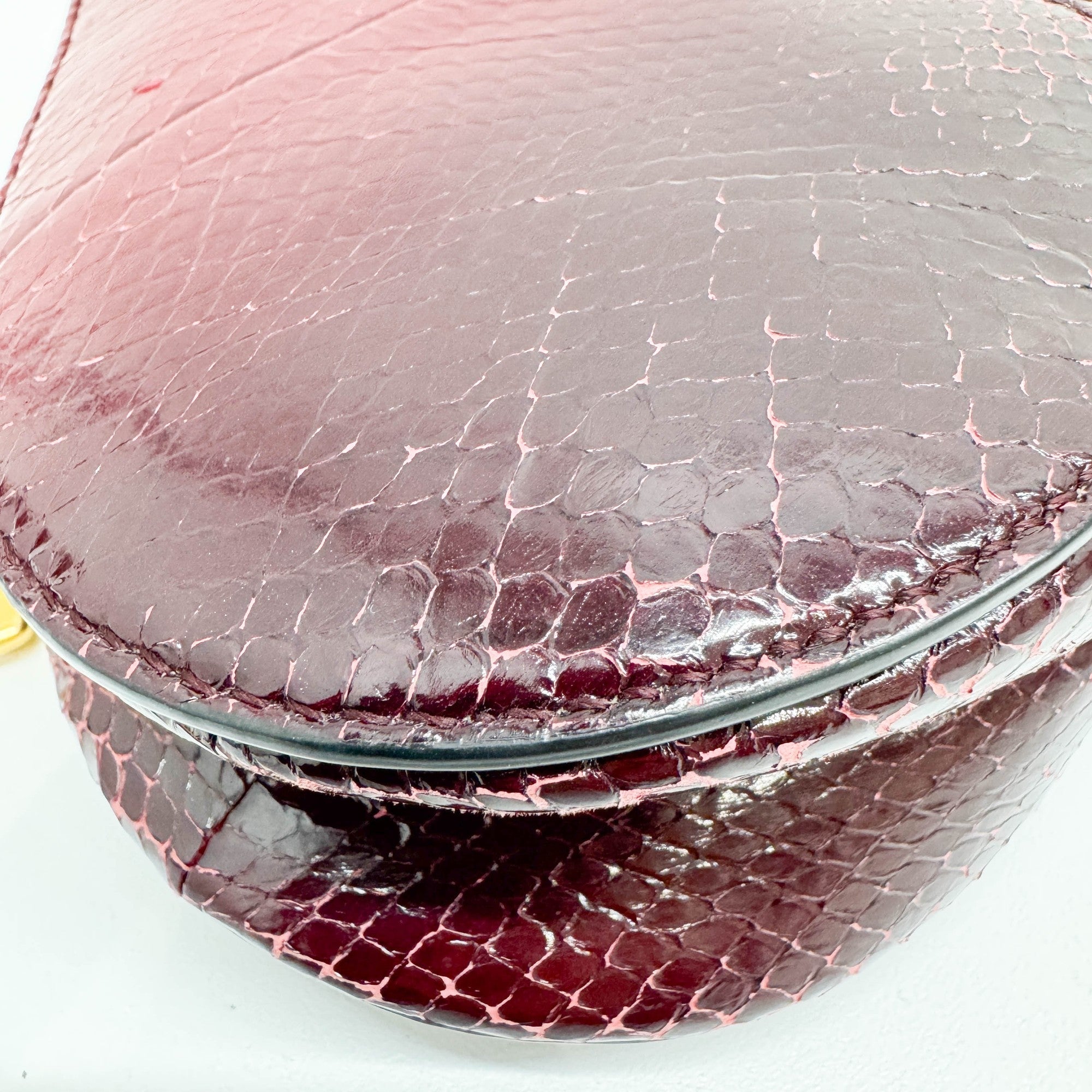 Mini Saddle Ombre Red Embossed Snake Leather Two Way Bag