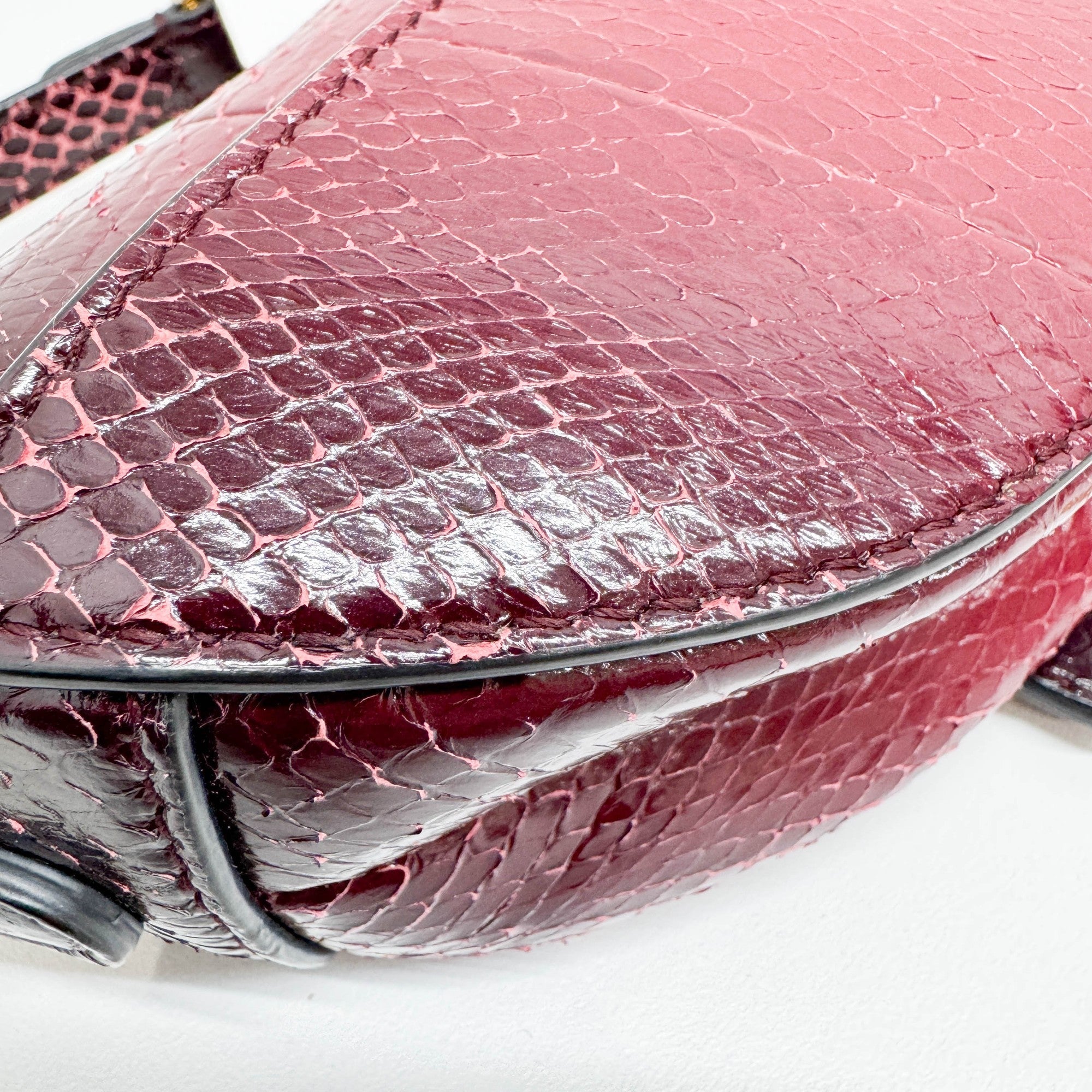Mini Saddle Ombre Red Embossed Snake Leather Two Way Bag