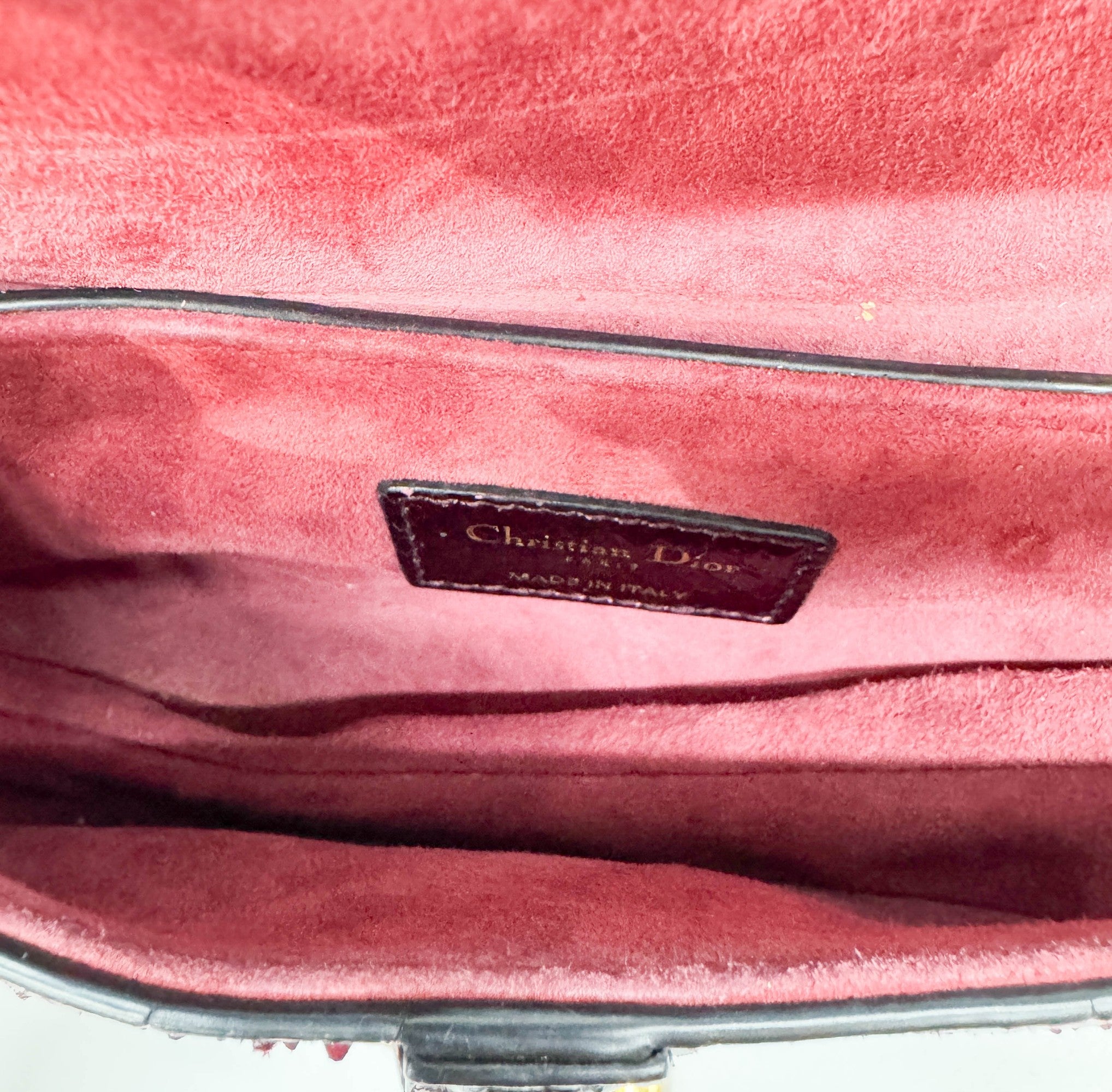 Mini Saddle Ombre Red Embossed Snake Leather Two Way Bag