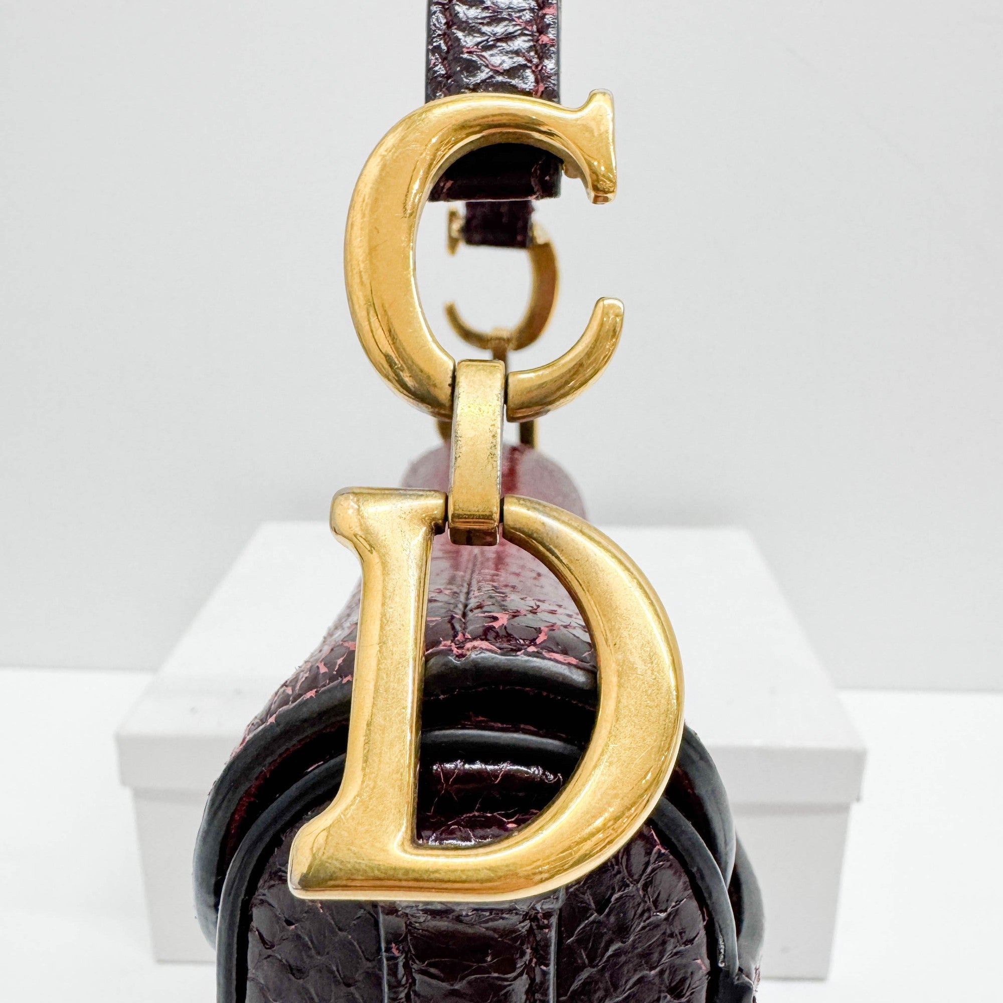 Mini Saddle Ombre Red Embossed Snake Leather Two Way Bag