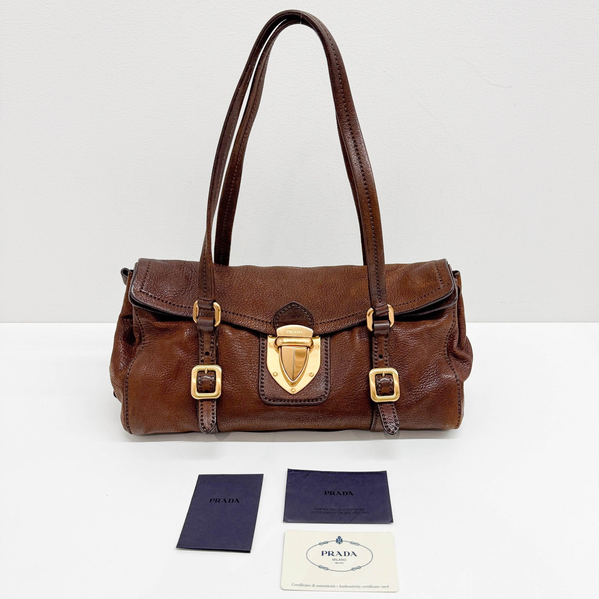 Pietra Brown Cervo Shine Leather Shoulder Bag