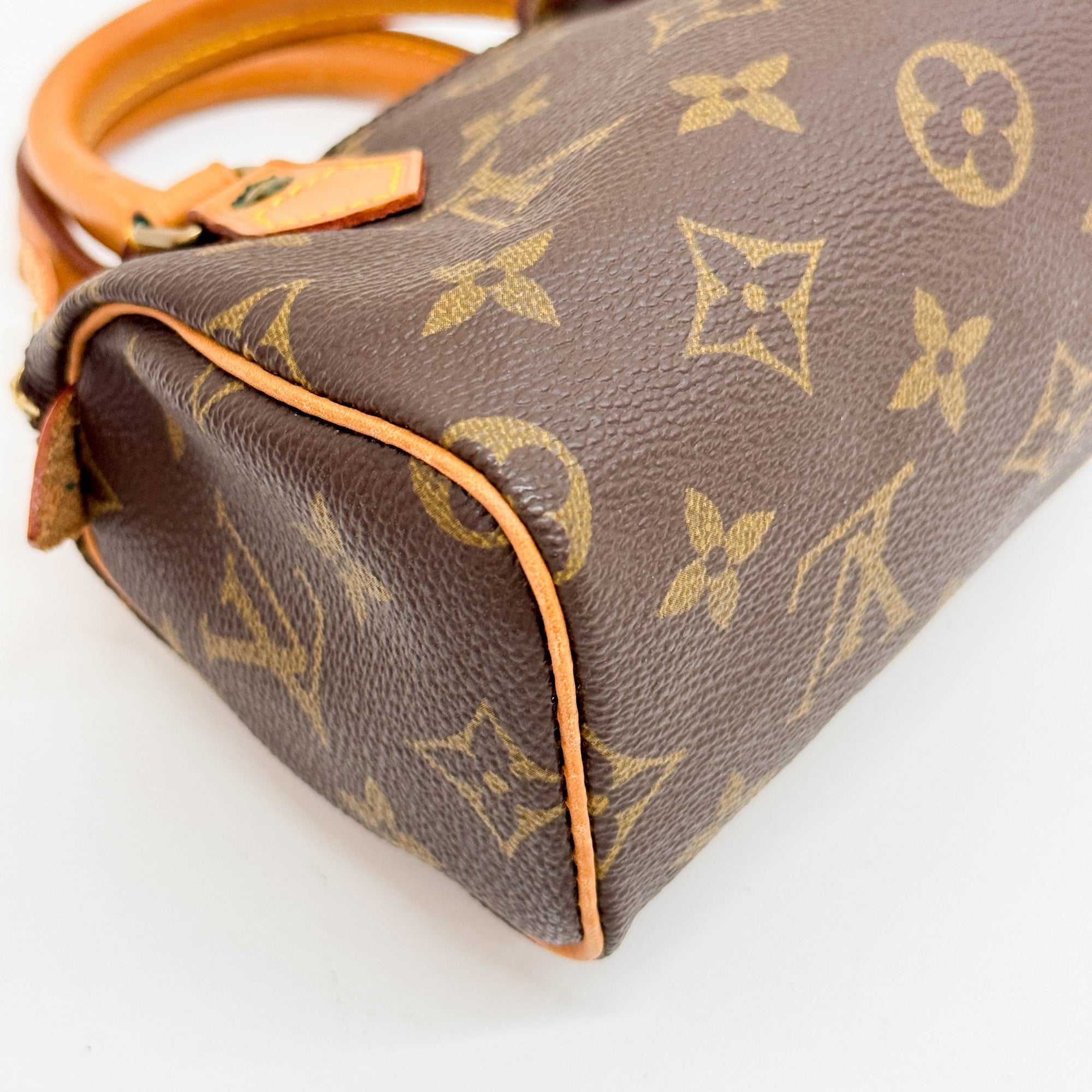 Mini Speedy Brown Monogram Hand Bag