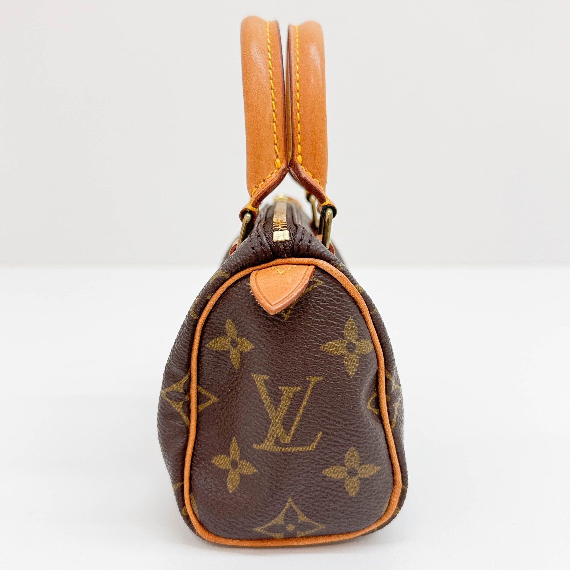 Mini Speedy Brown Monogram Hand Bag