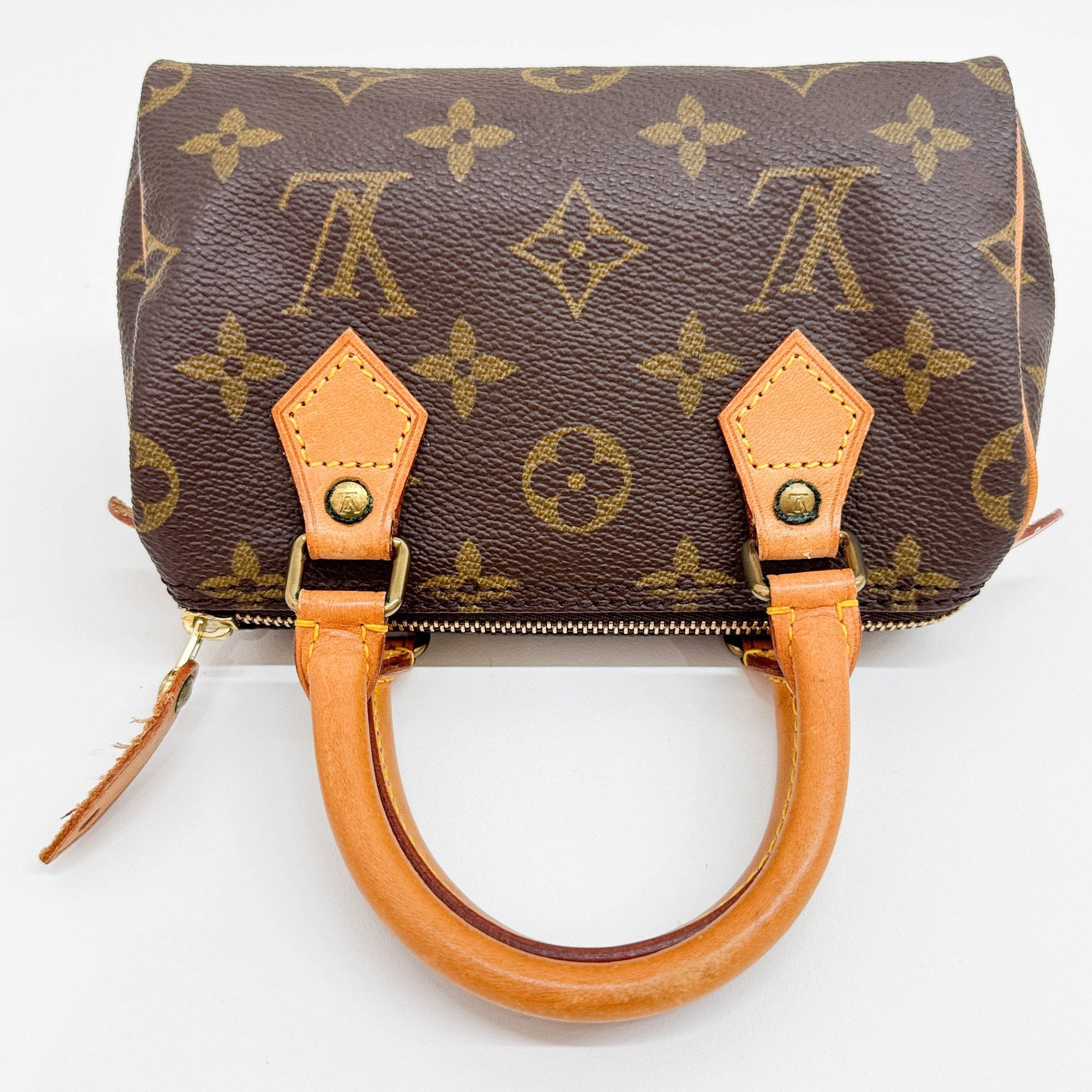 Mini Speedy Brown Monogram Hand Bag