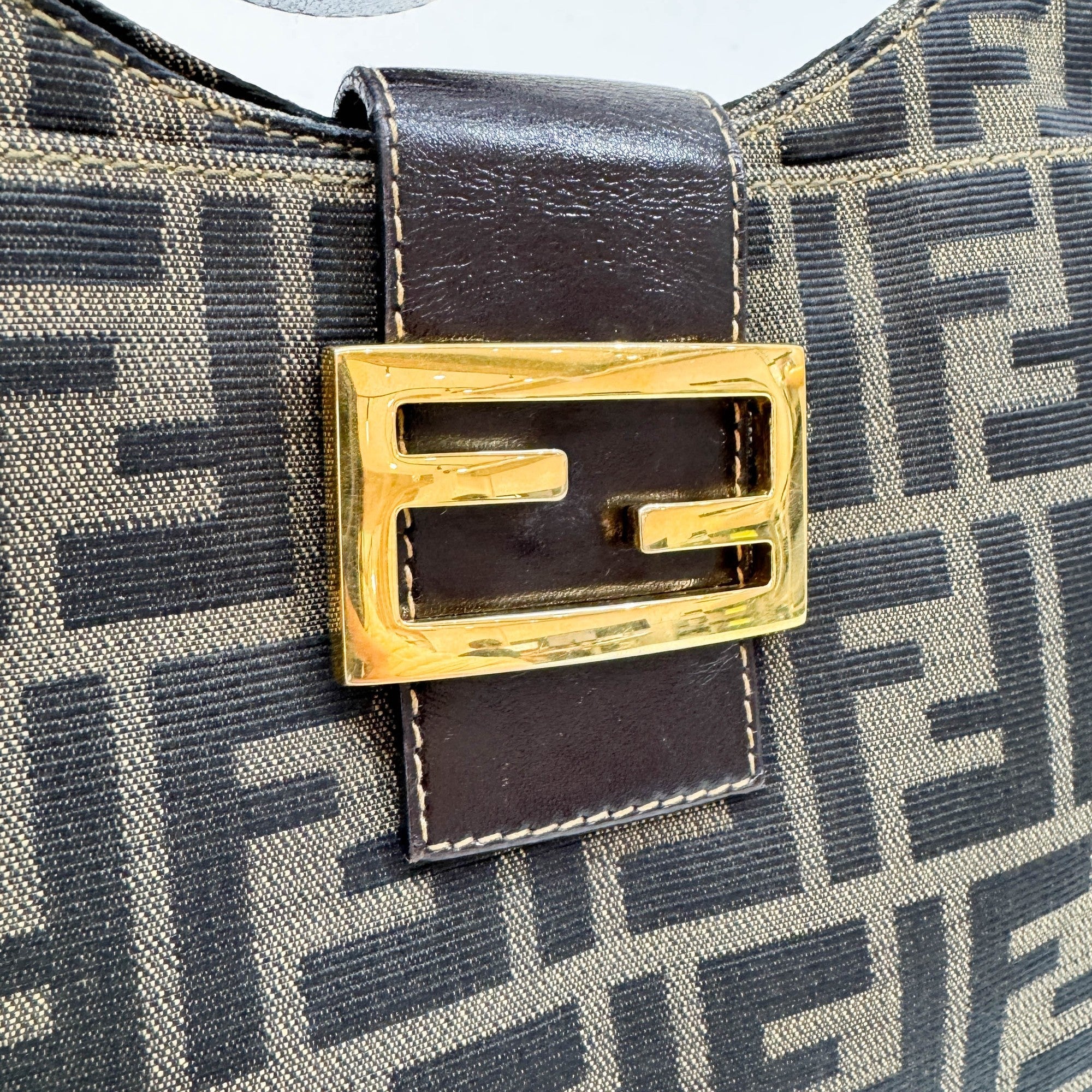 Brown Zucca Canvas Shoulder Bag