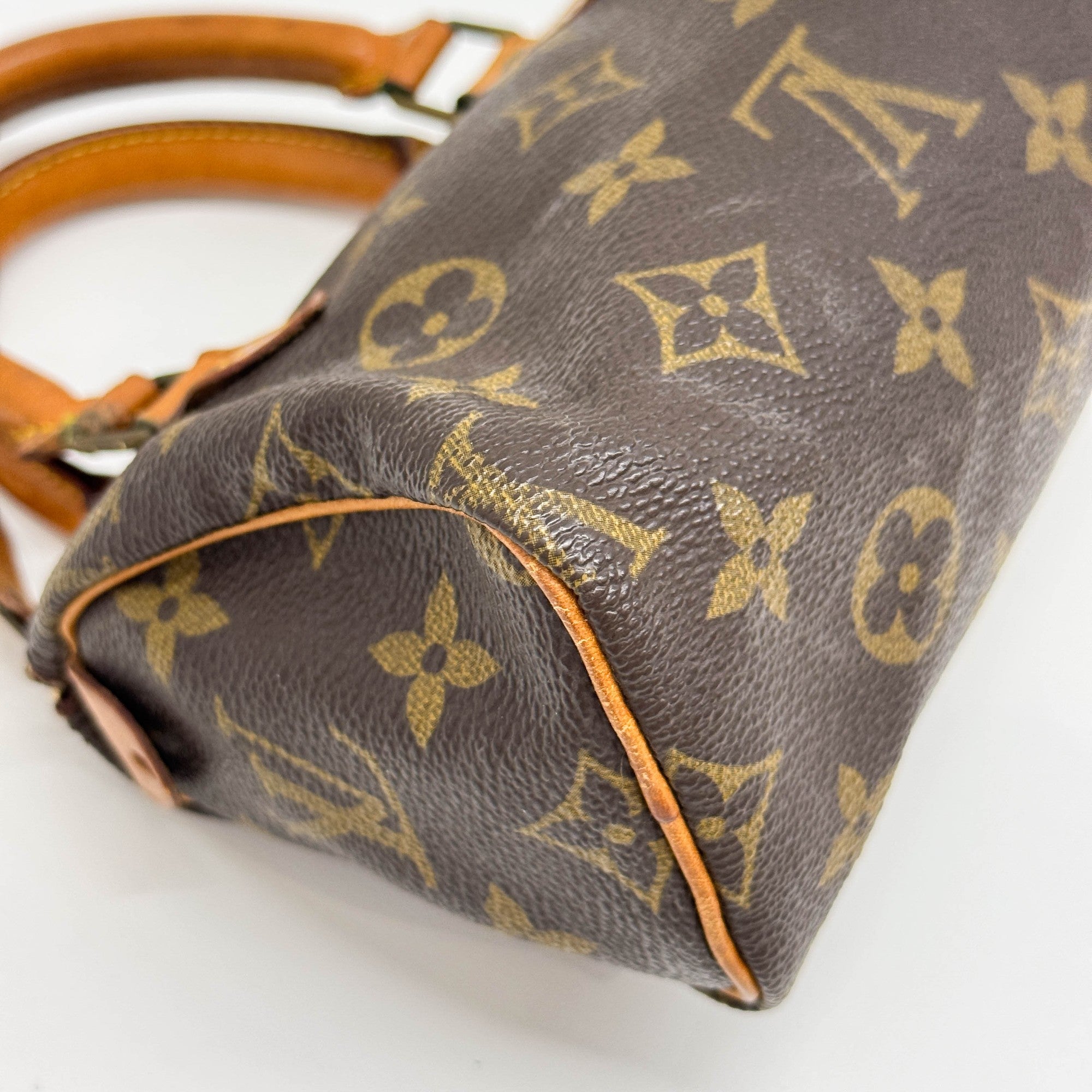 Mini Speedy Brown Monogram Canvas Two Way Bag