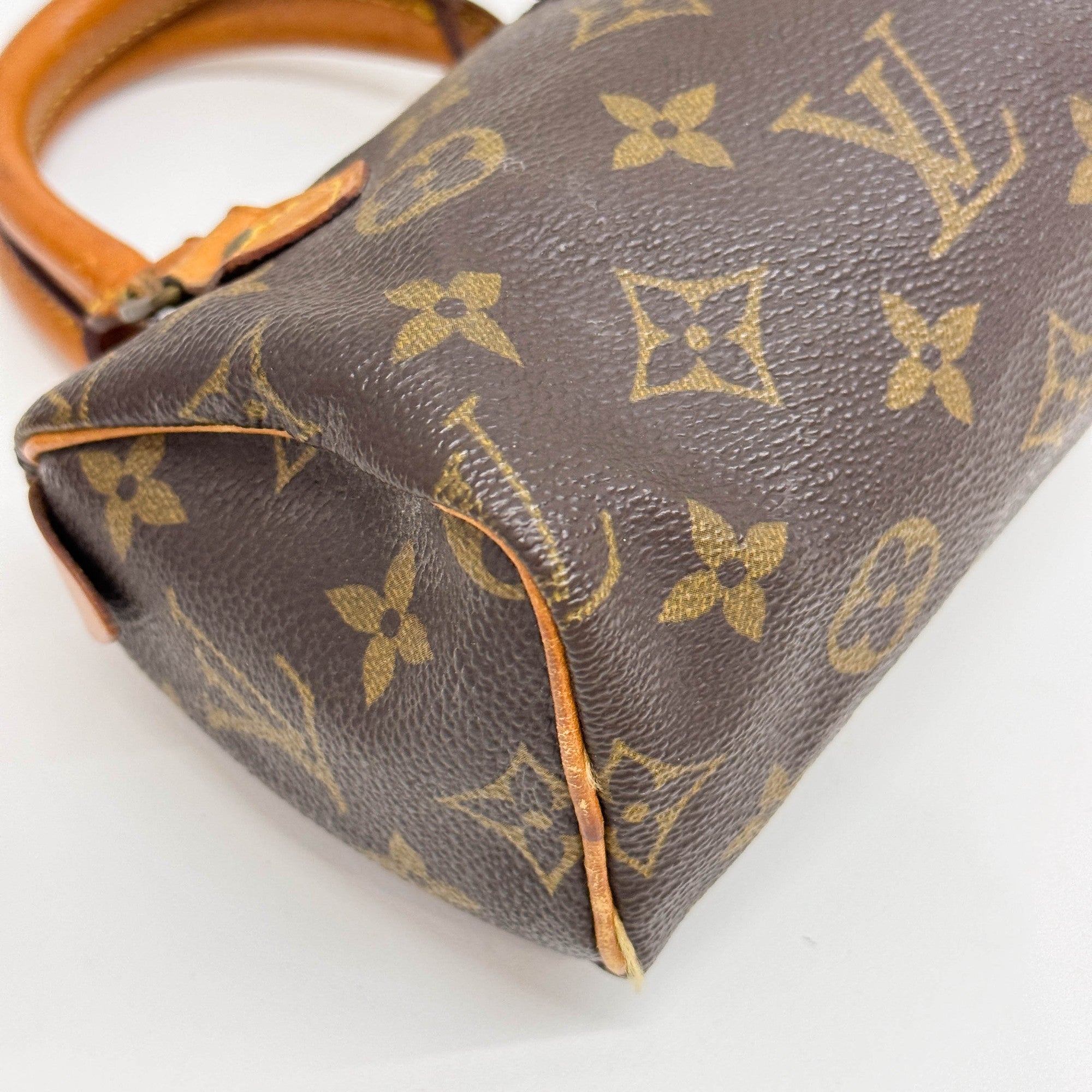 Mini Speedy Brown Monogram Canvas Two Way Bag