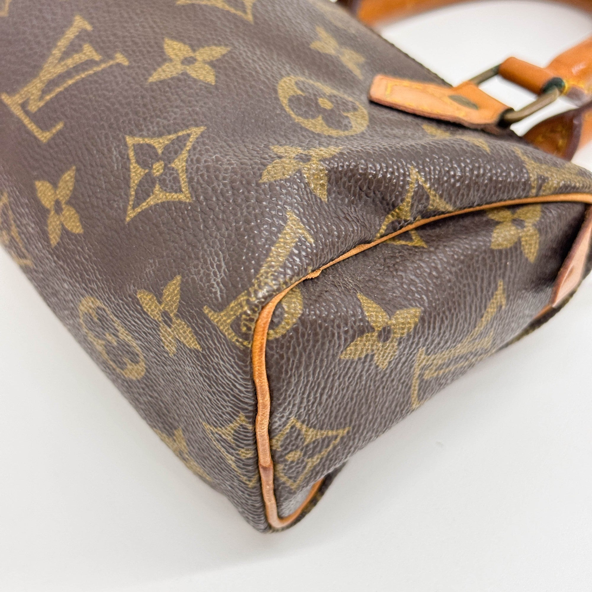 Mini Speedy Brown Monogram Canvas Two Way Bag