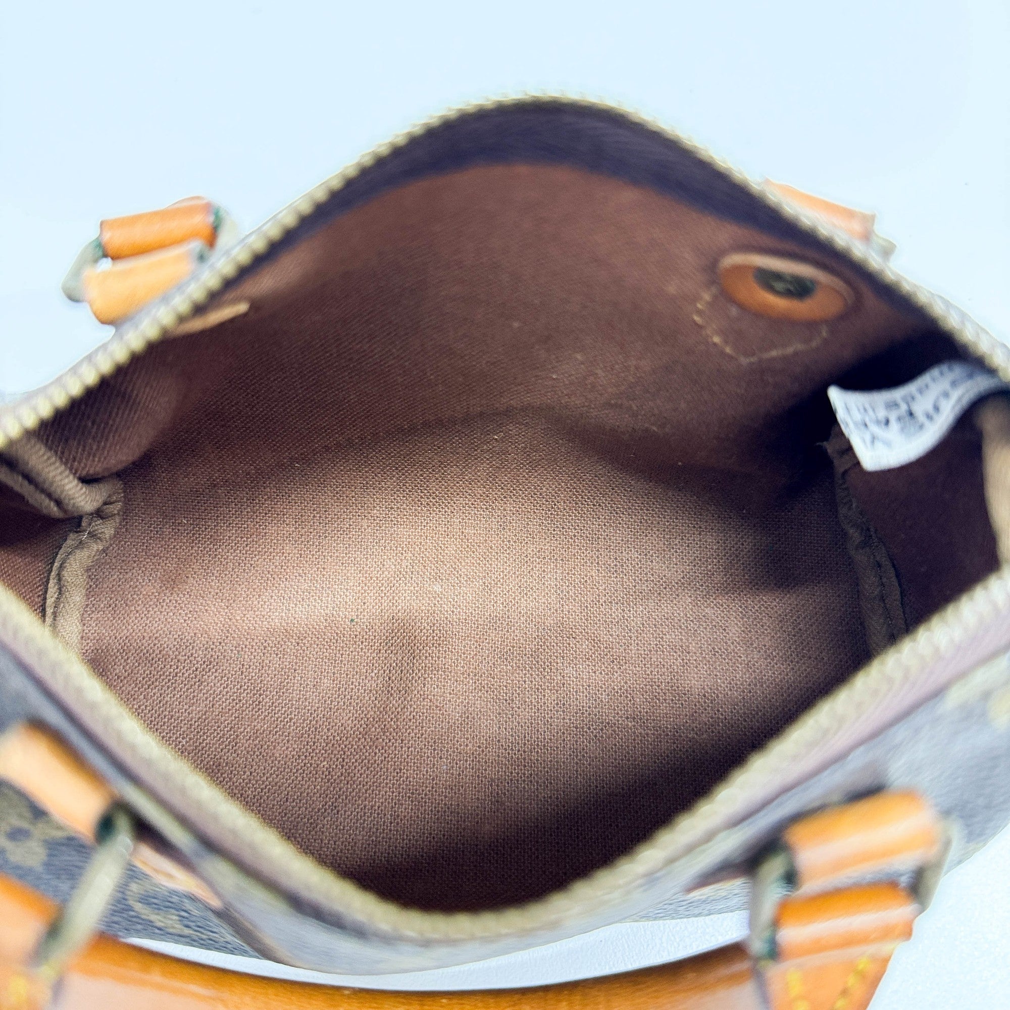 Mini Speedy Brown Monogram Canvas Two Way Bag