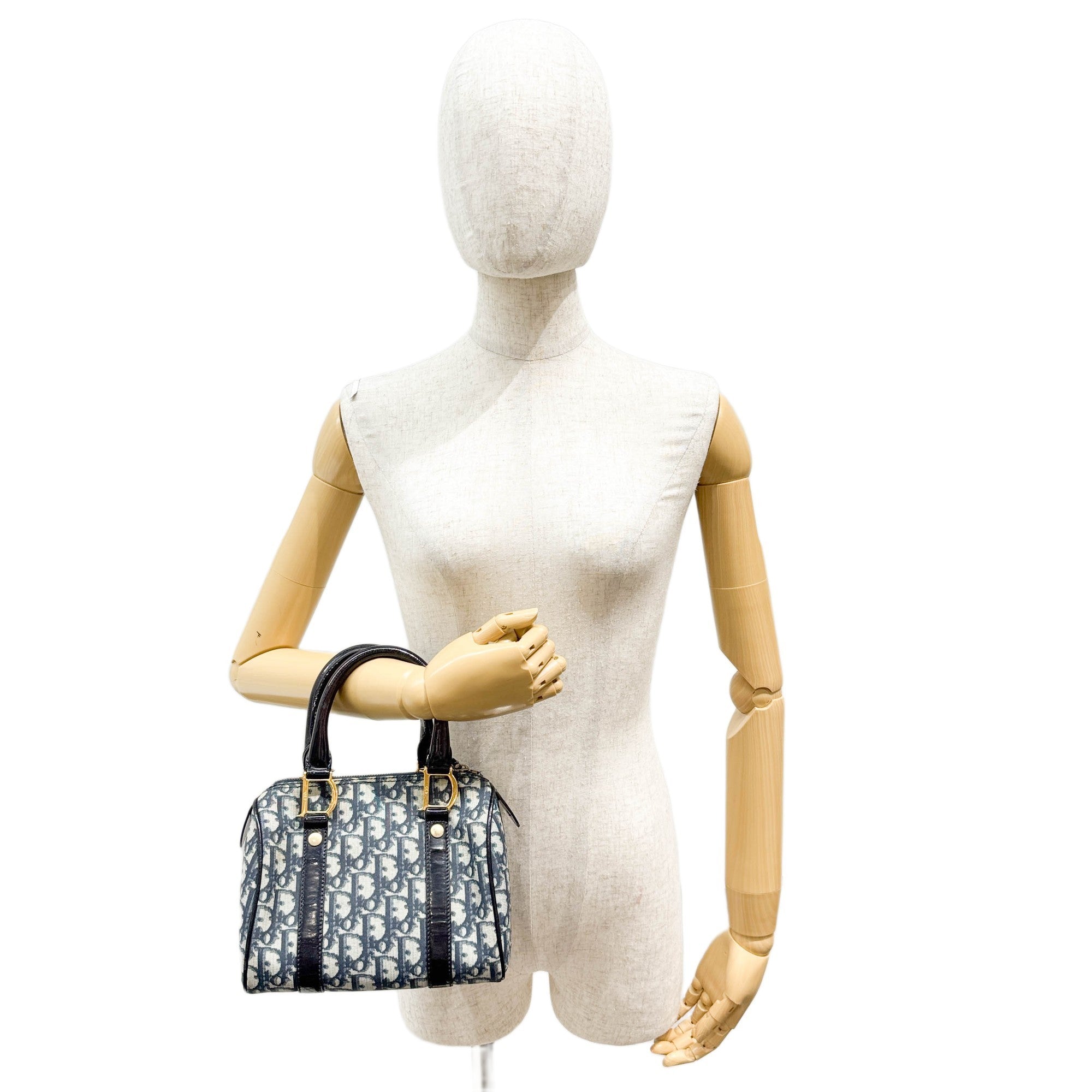 Mini Boston Blue Trotter Canvas Hand Bag