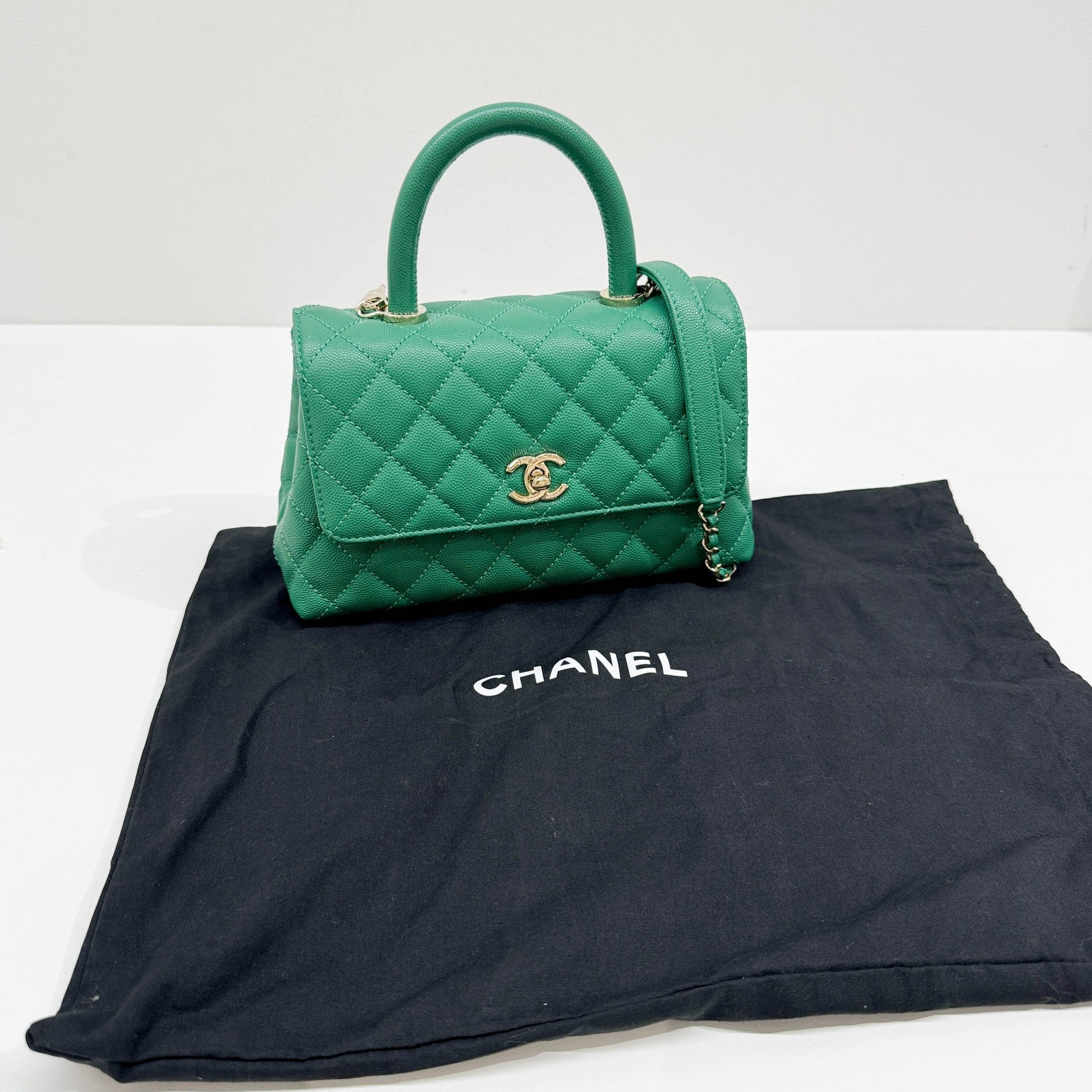 Coco Top Handle 2021-2026 Green Leather Two Way Bag