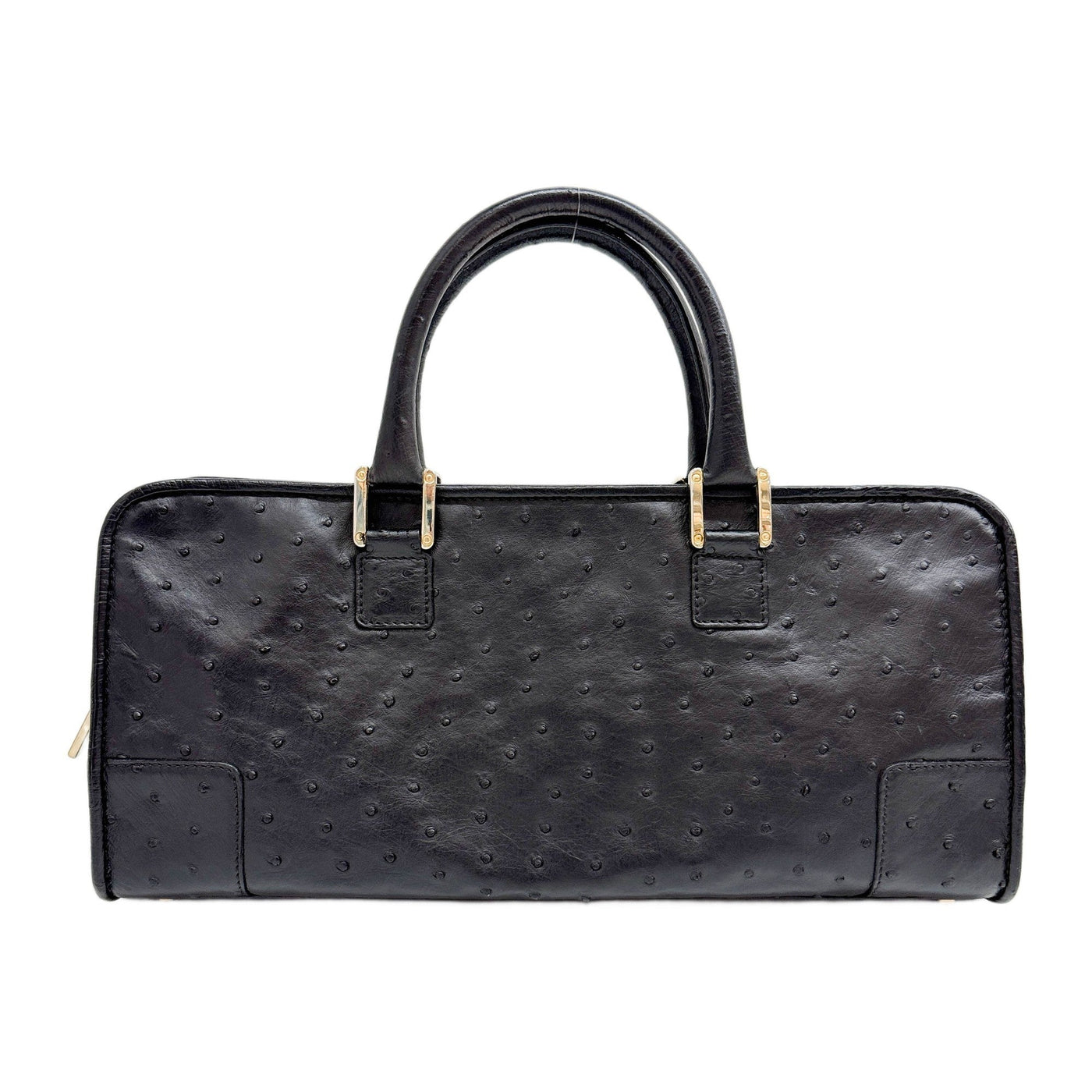 Amazona Black Ostrich Embossed Leather Hand Bag
