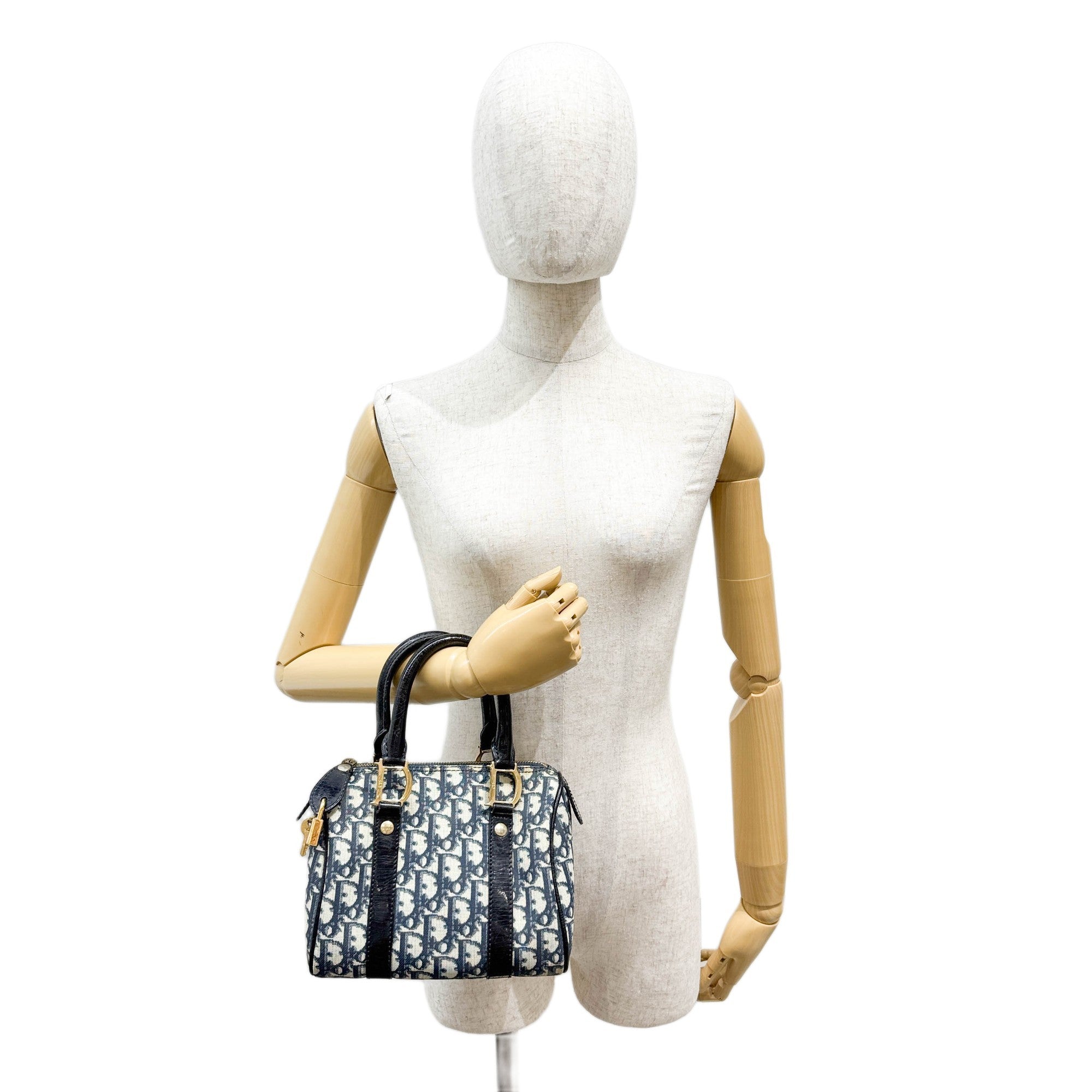 DIOR Mini Boston Blue Trotter Canvas Hand Bag – HIVE PRELOVED