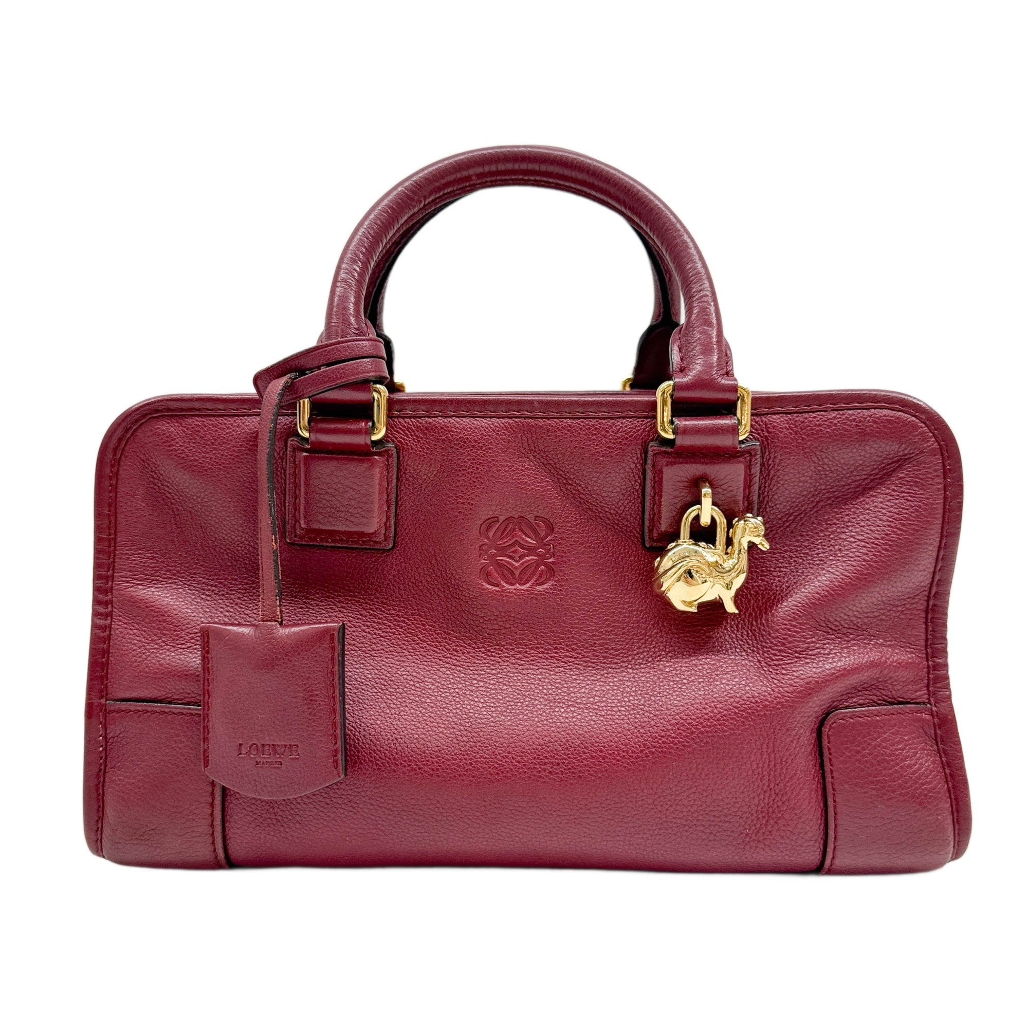 Limited Edition "Year of the Dragon" Amazona Red Leather Hand Bag