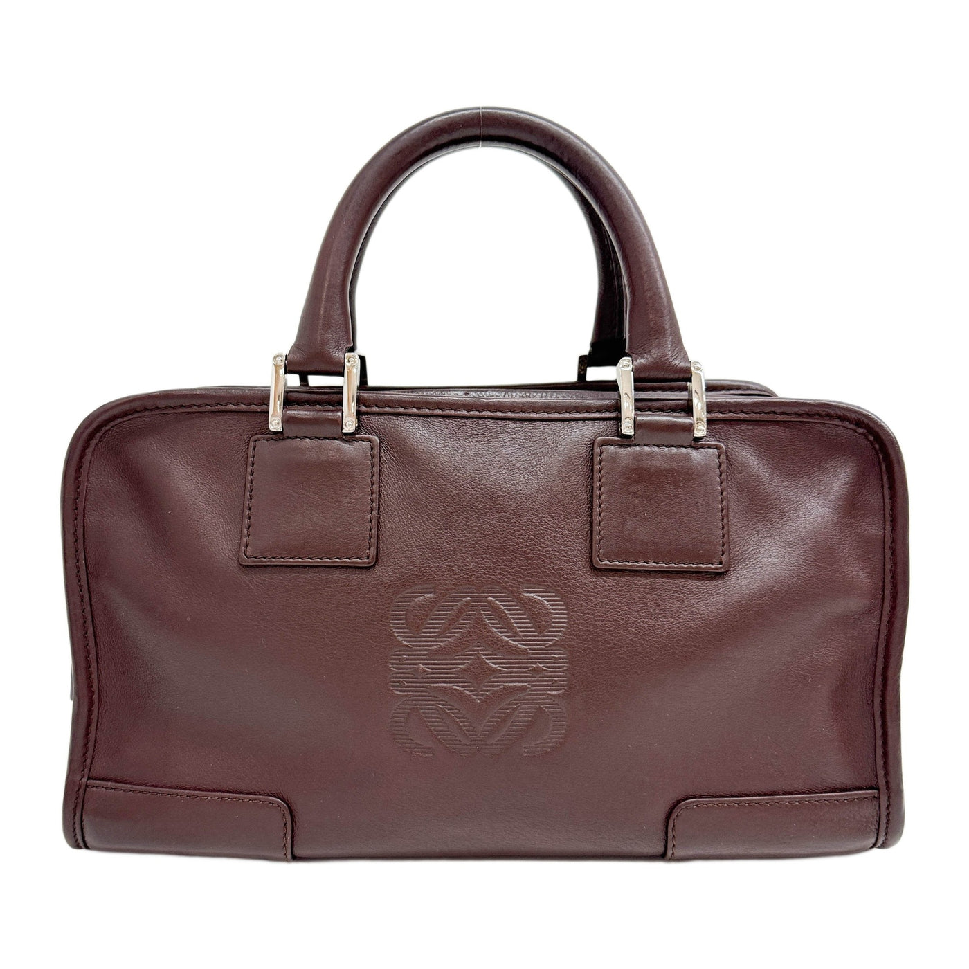 Amazona 28 Chocolate Brown Leather Handle Bag
