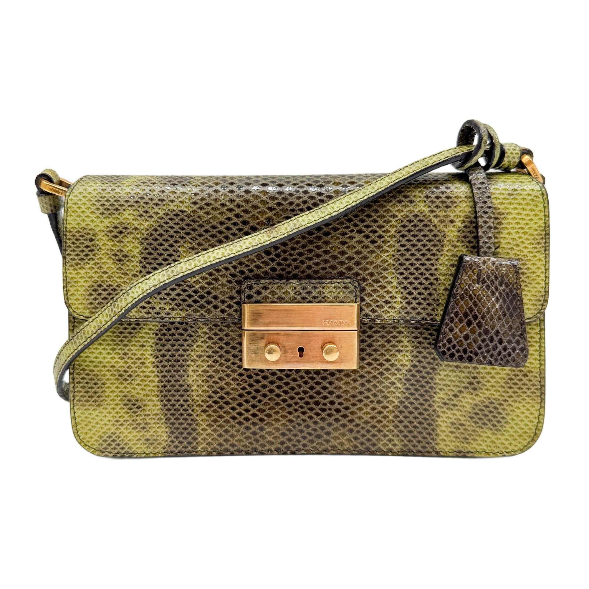 Berlino Sound Green Python Embossed Leather Shoulder Bag