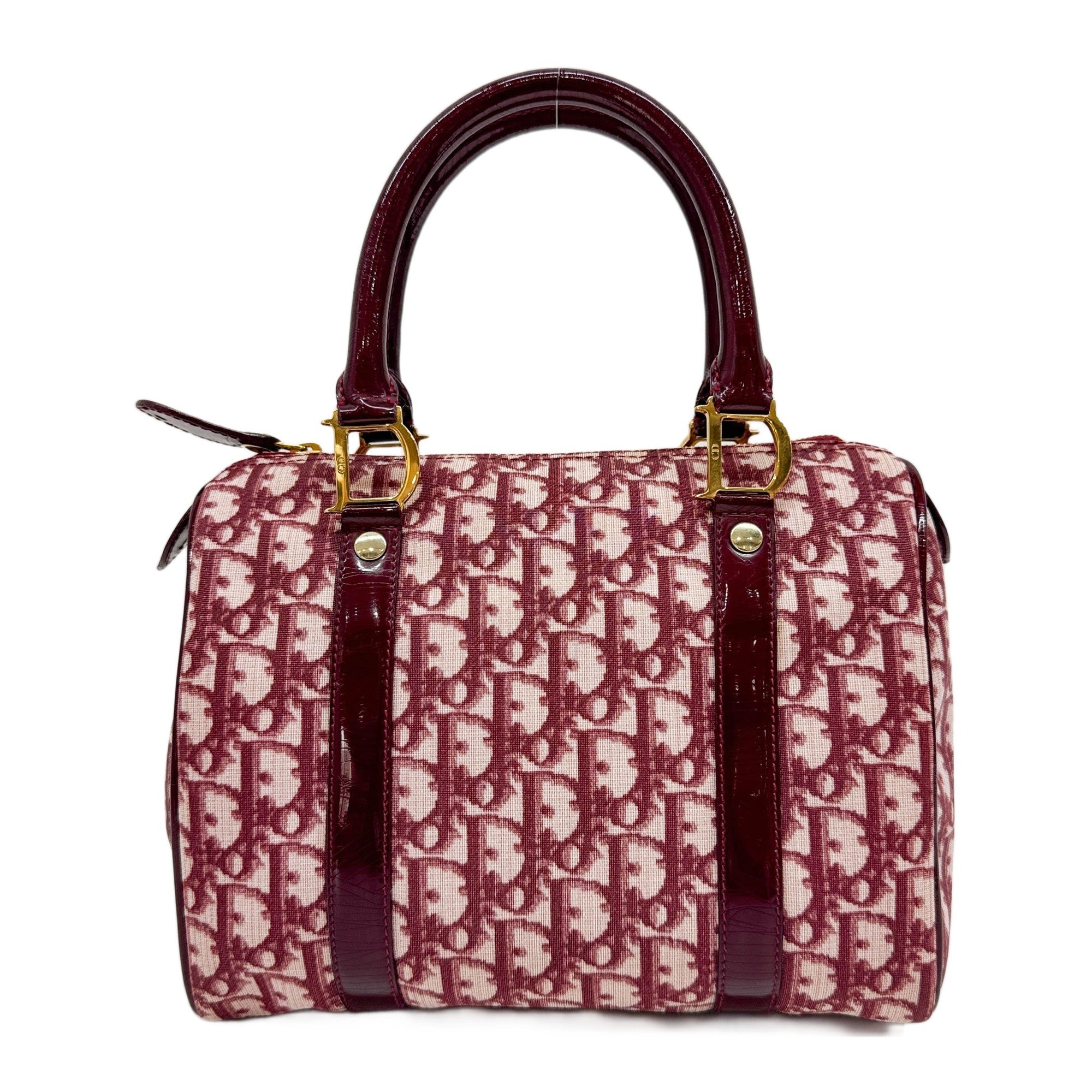 Boston RedTrotter Canvas Hand Bag