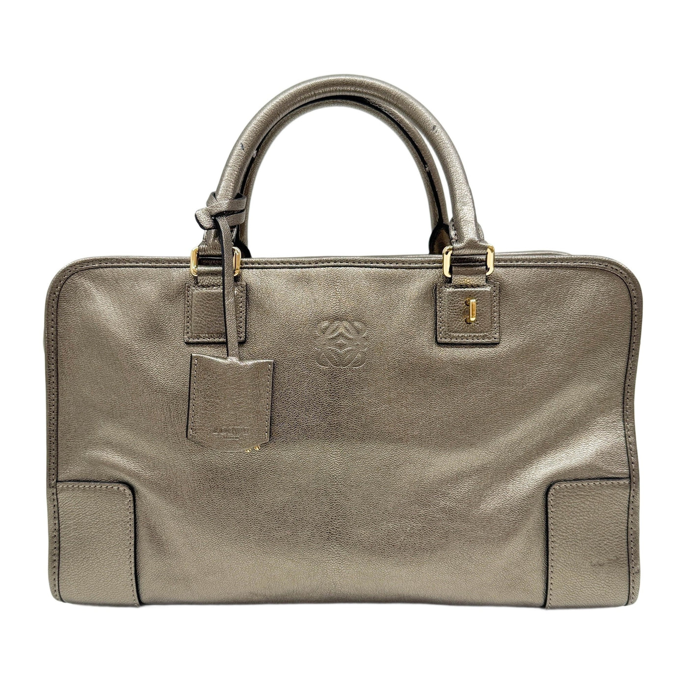 Amazona 36 Metallic Green Leather Handle Bag