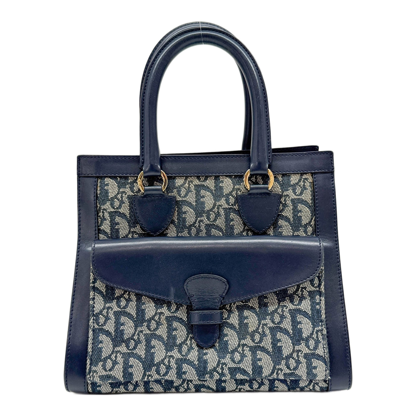 Blue Trotter Canvas Handle Bag
