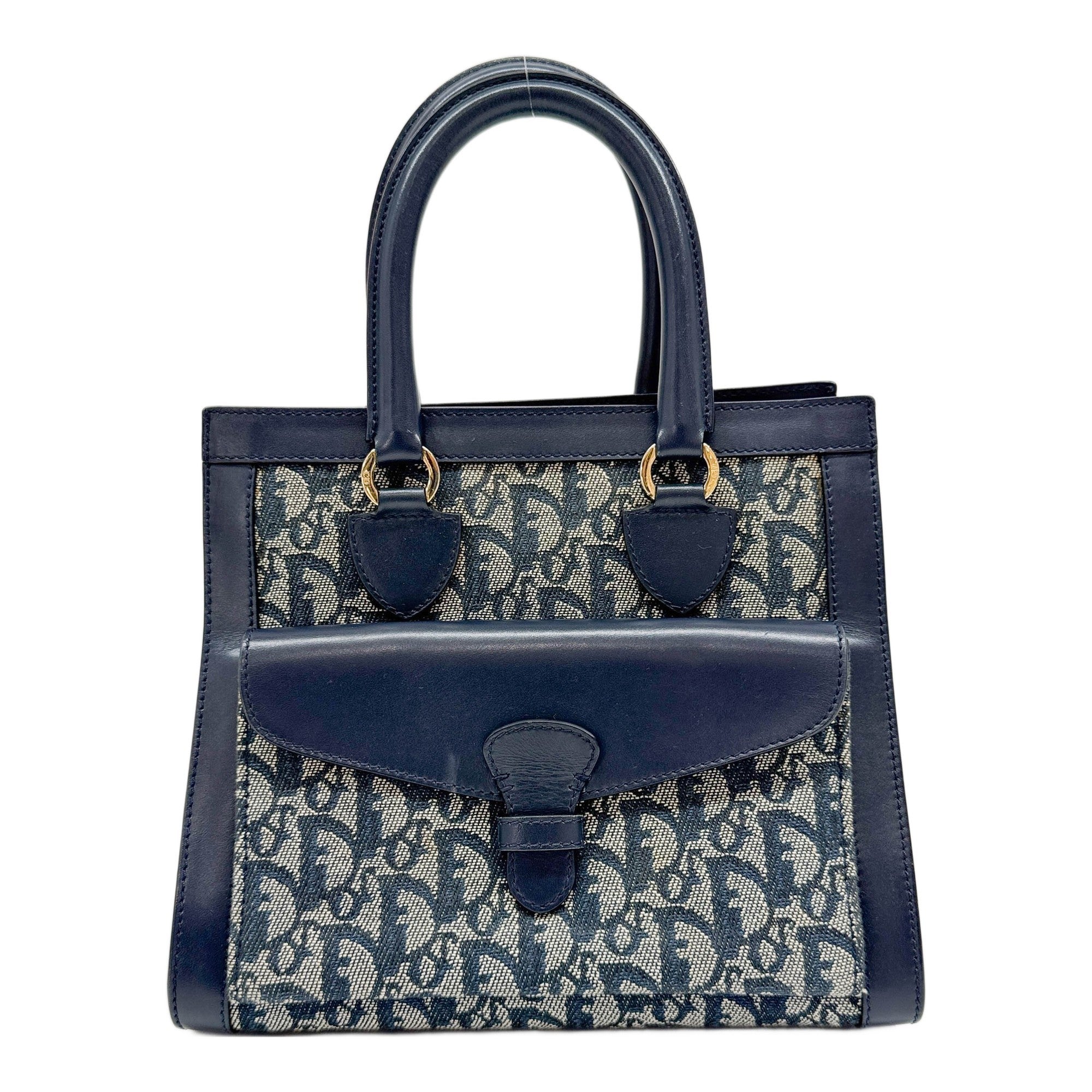 Blue Trotter Canvas Handle Bag