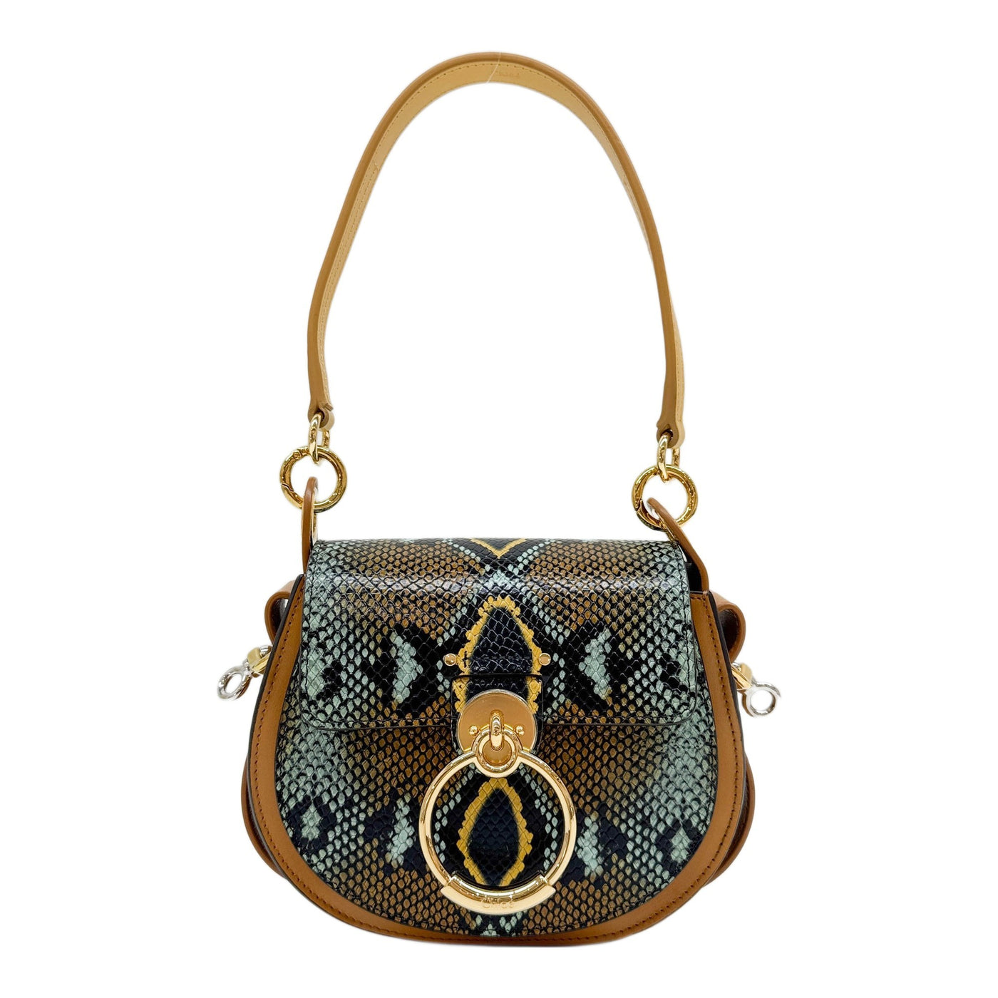 Tess Multicolor Python Embossed Leather Two Way Bag