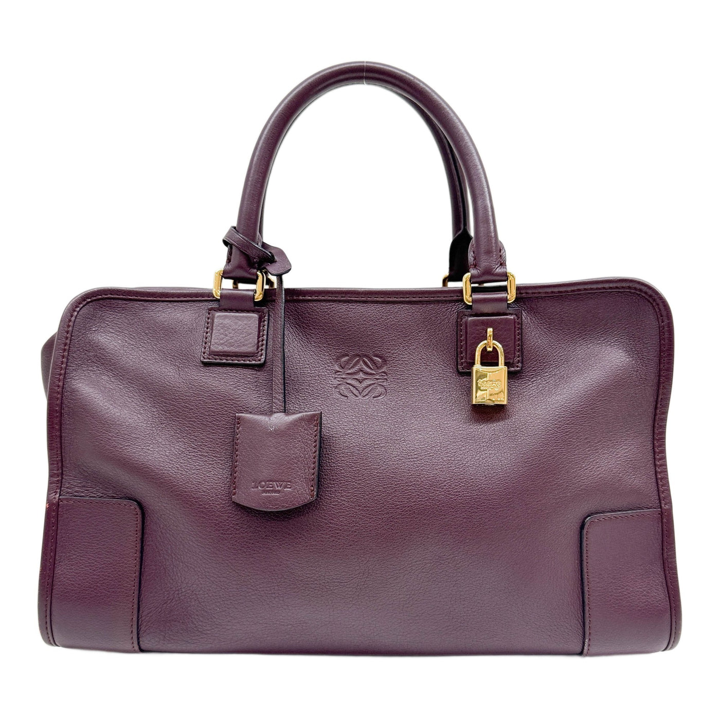 Amazona Bordeaux  Leather Hand Bag