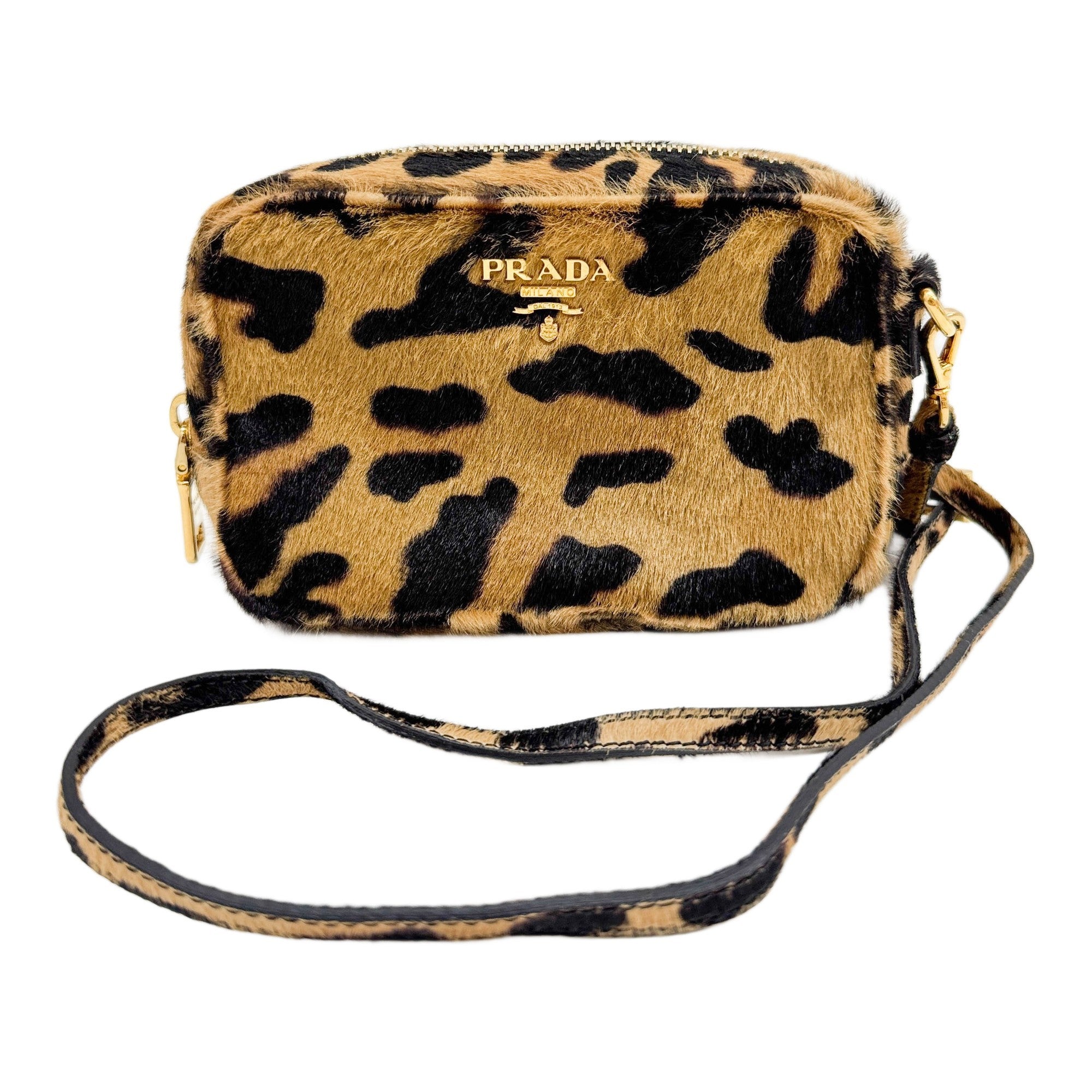 Brown Cheetah Print Pony Hair Crossbody Bag