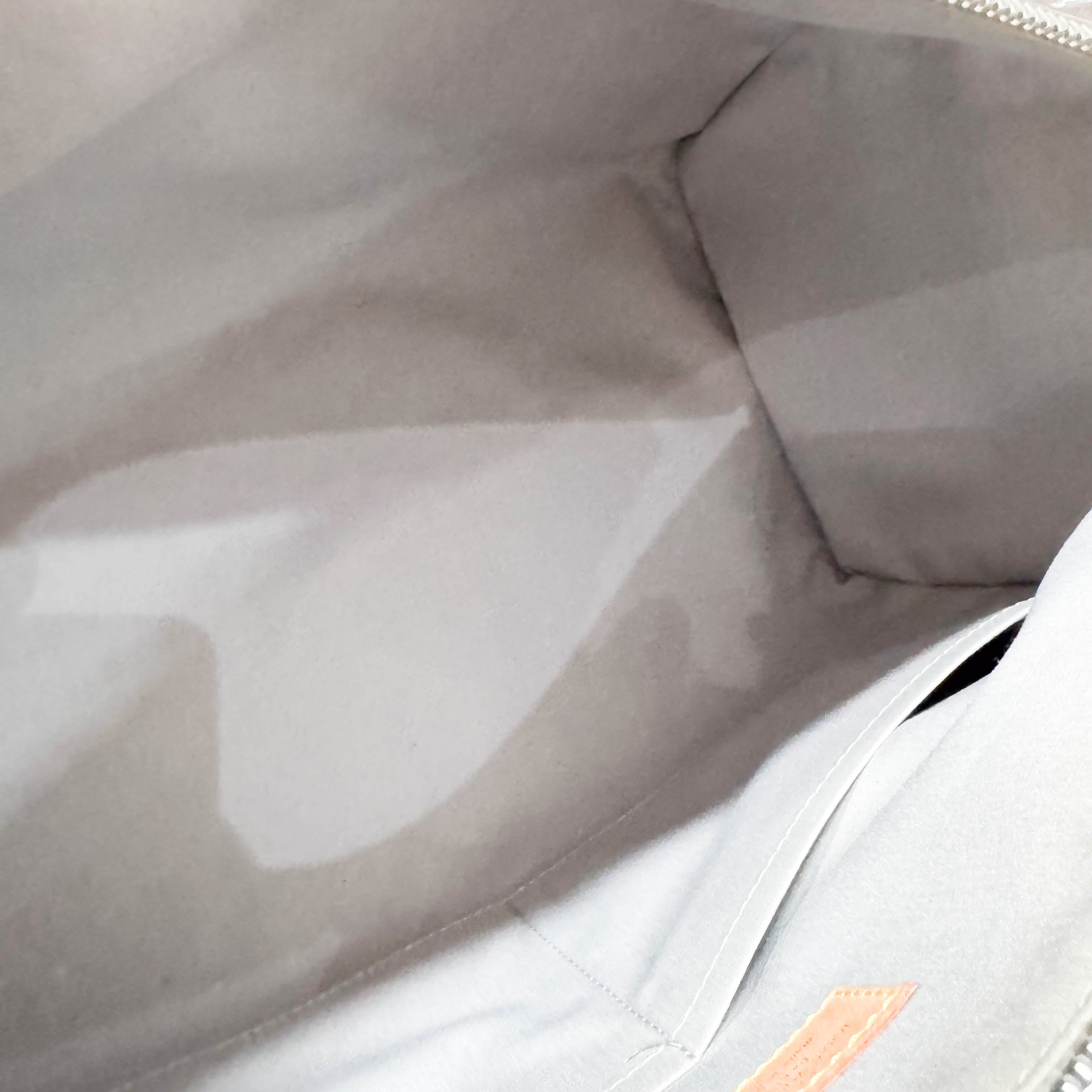 Speedy 35 Monogram Mirror World Silver Coated Canvas Handbag