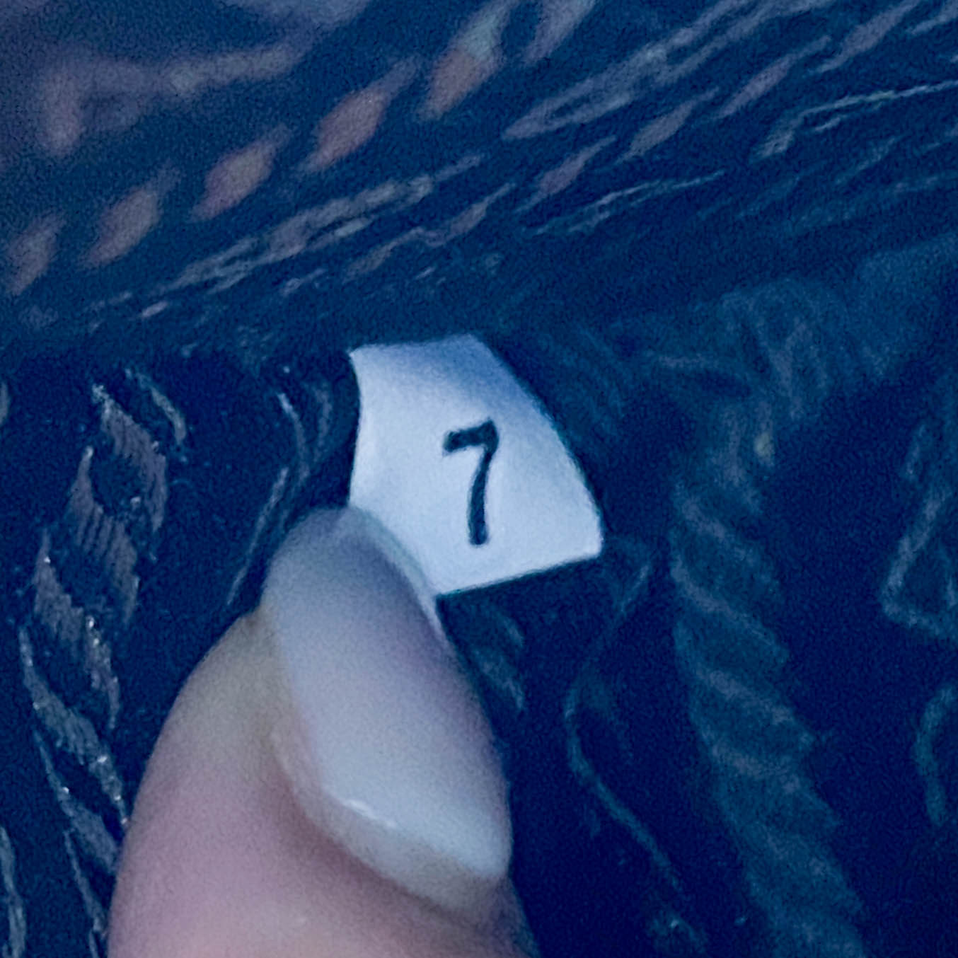 Brown Diamond Pattern Cotton Canvas Shoulder Bag