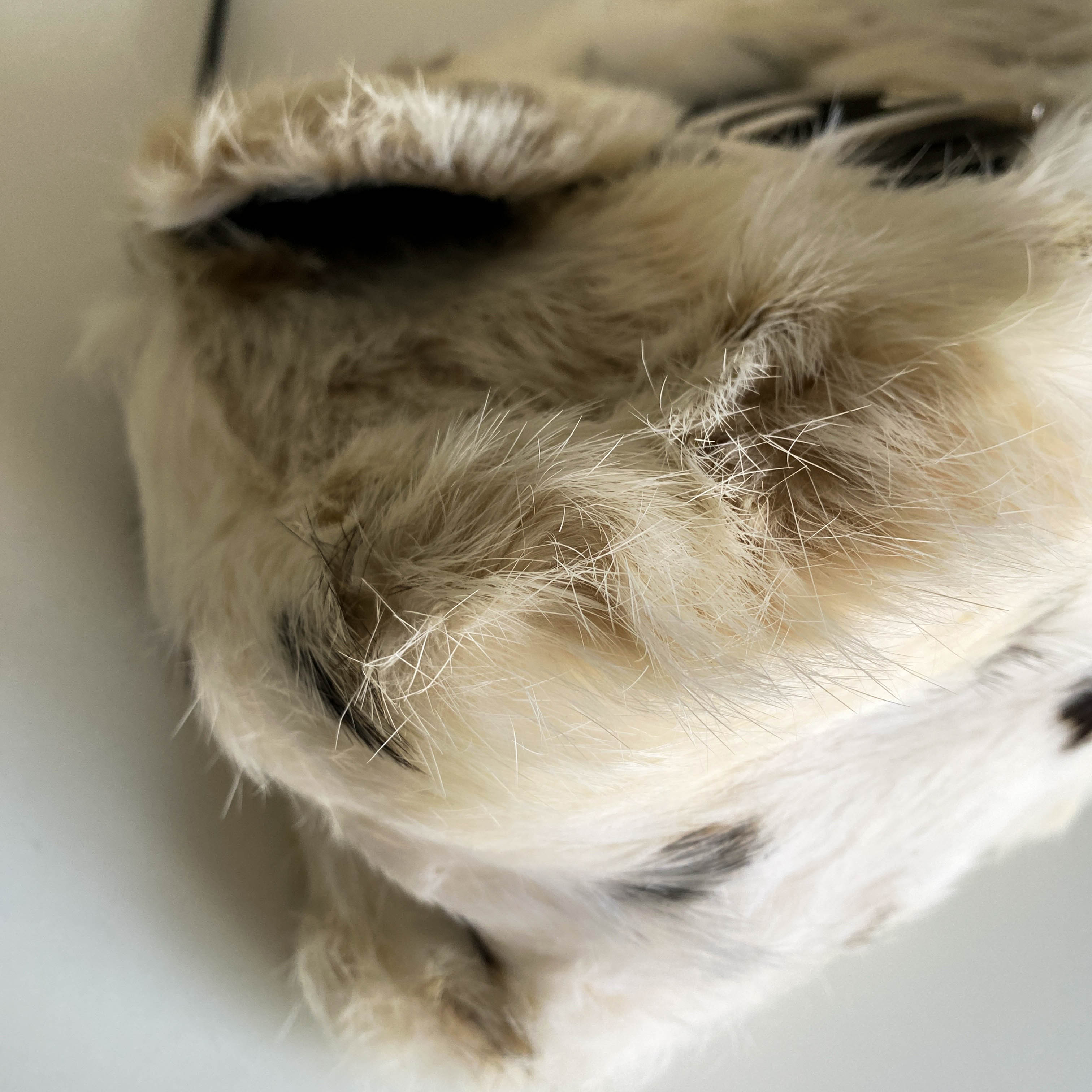 Mini Mamma Baguette Fur Neural / Black Shoulder Bag