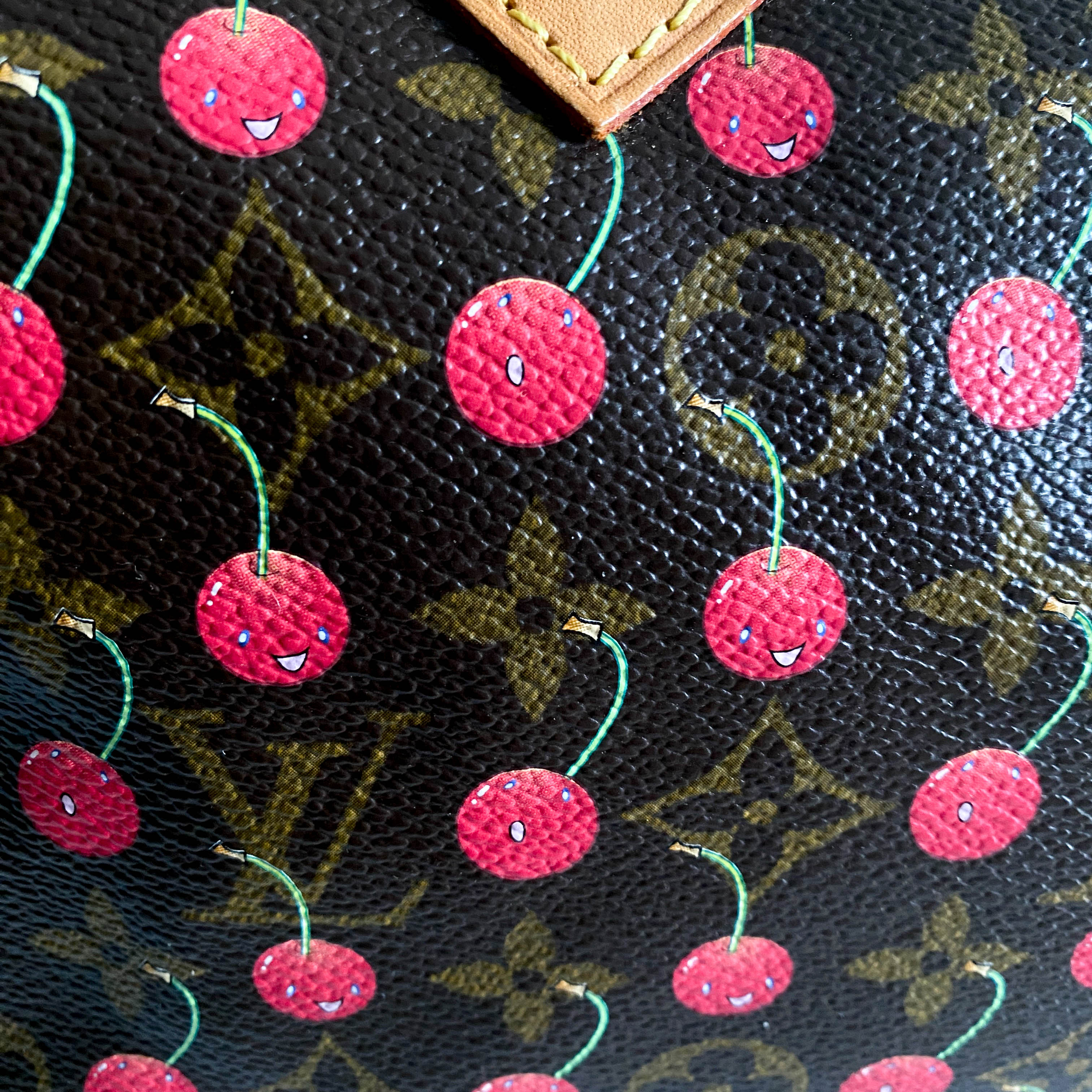 Louis Vuitton x Takashi Murakami Monogram Cherry Speedy 25