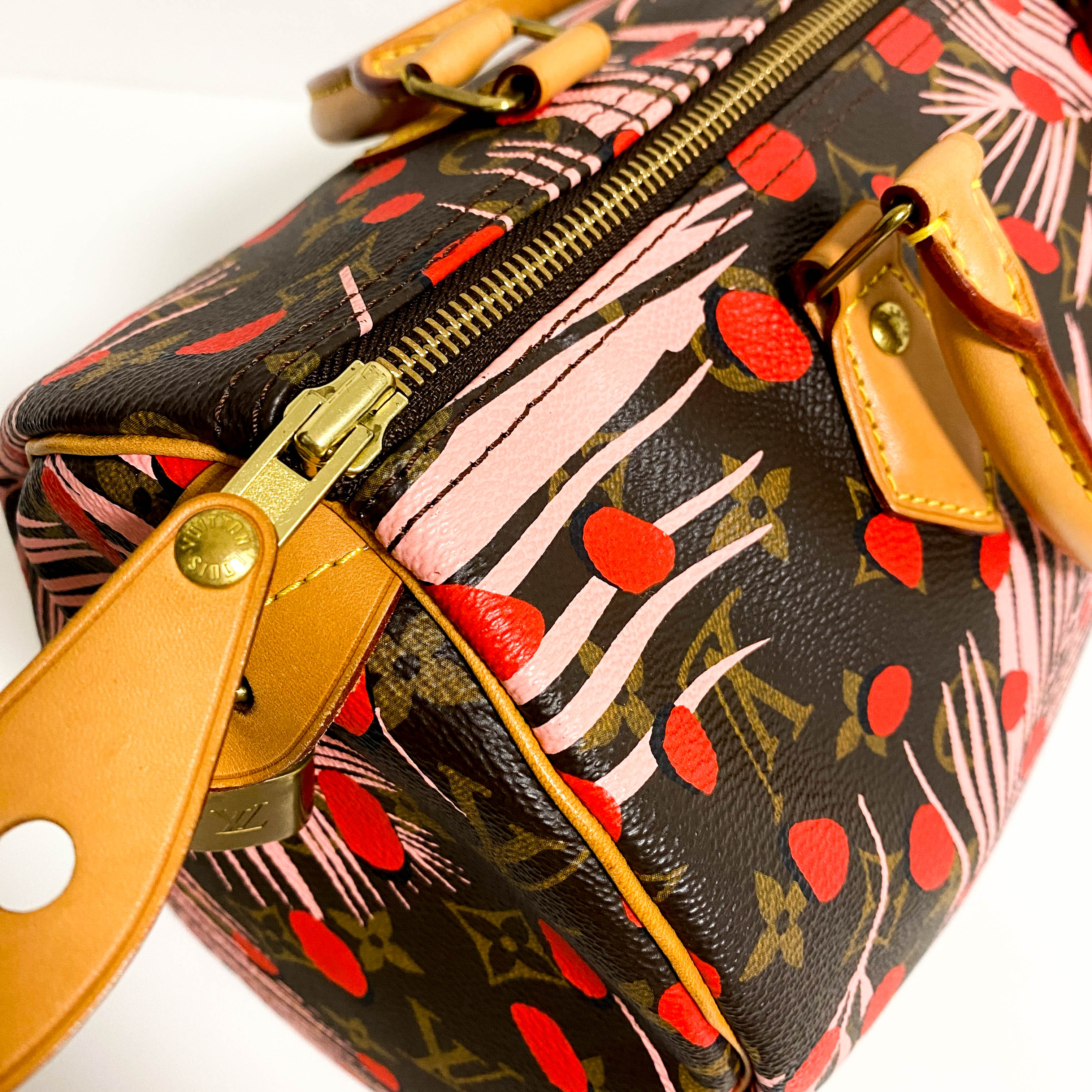 Monogram Jungle Dots Speedy 30 Sugar Pink Poppy