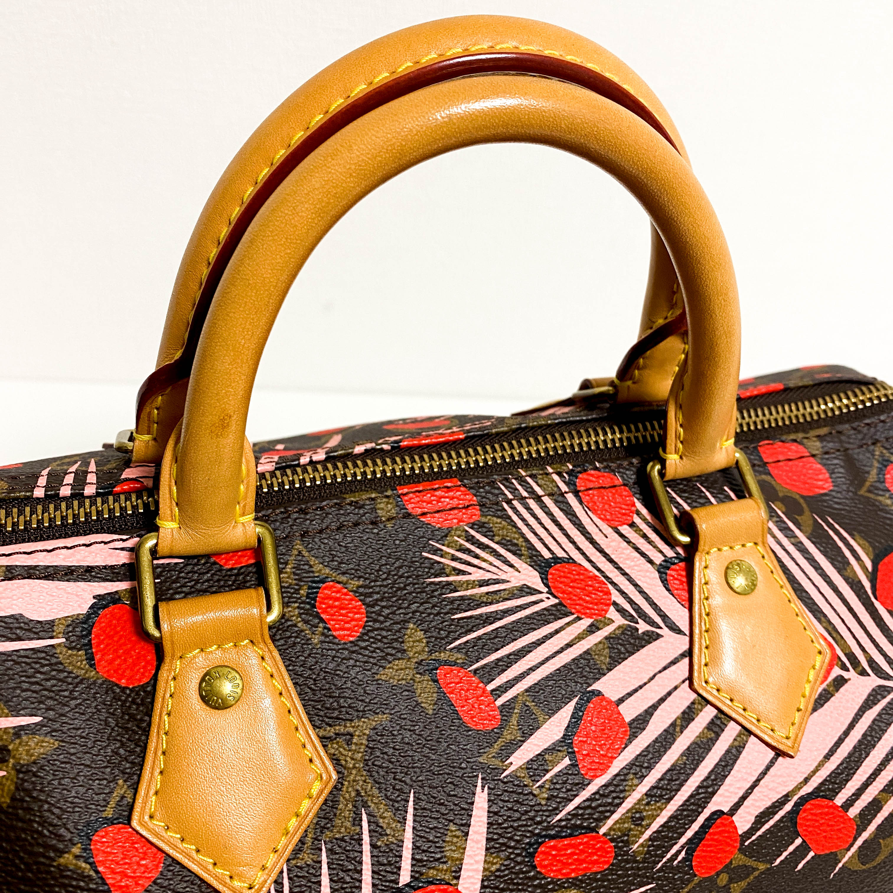 Monogram Jungle Dots Speedy 30 Sugar Pink Poppy