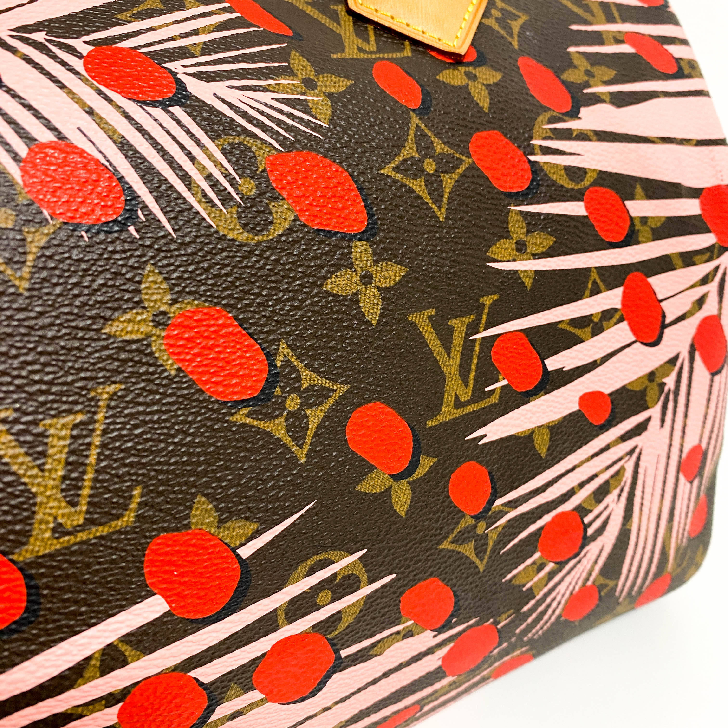 Monogram Jungle Dots Speedy 30 Sugar Pink Poppy