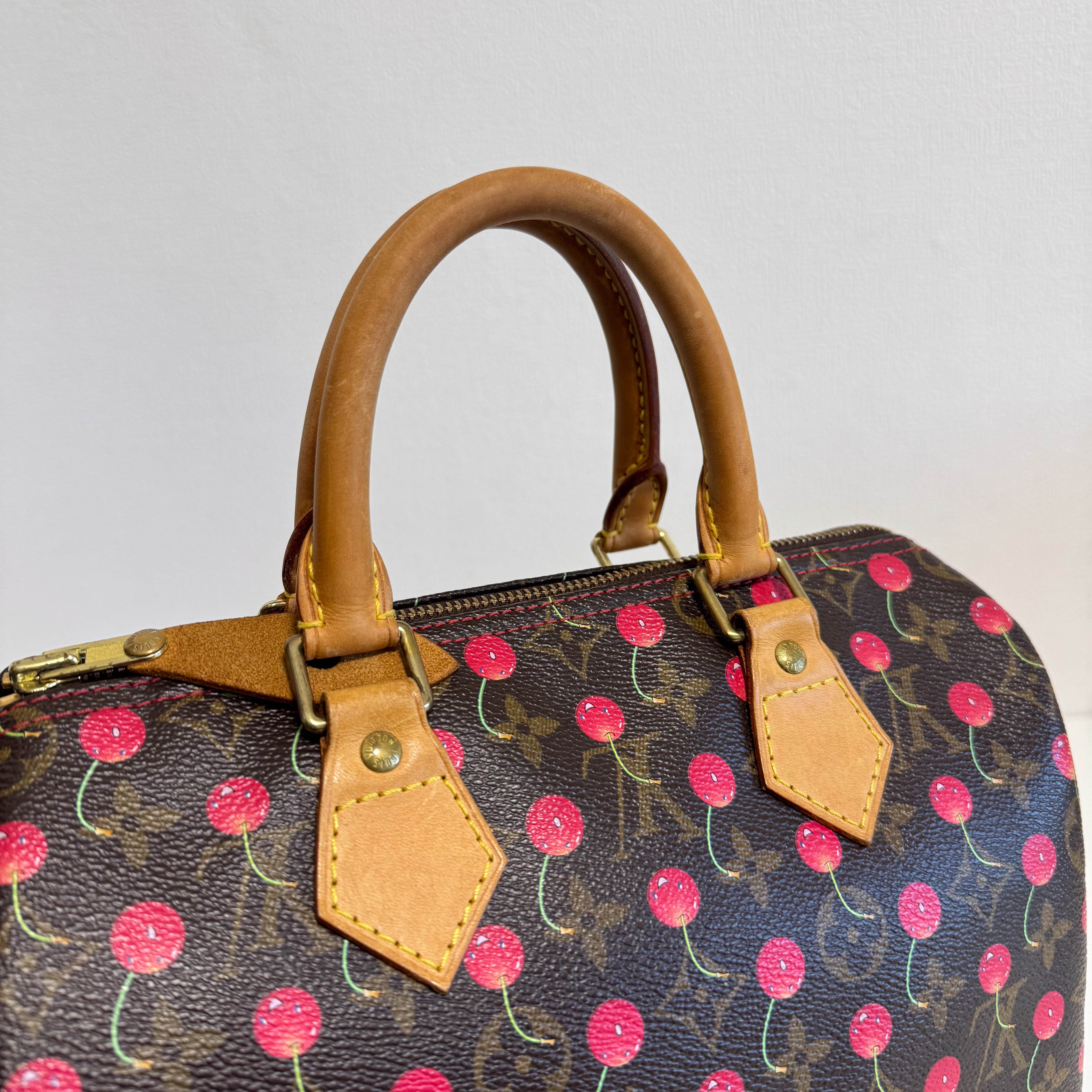 Louis Vuitton x Takashi Murakami Monogram Cherry Speedy 25