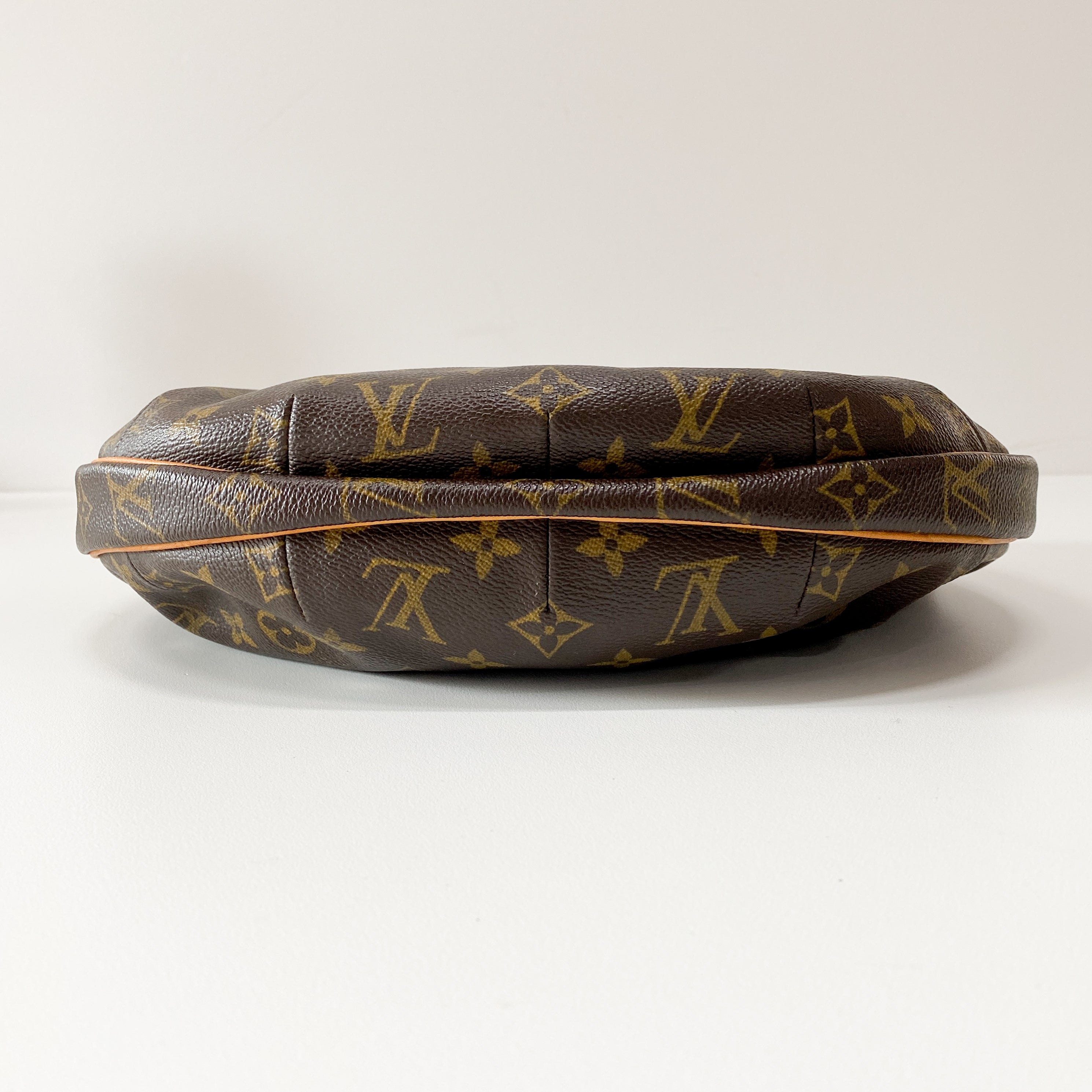 Croissant MM Monogram Brown Canvas Shoulder Bag