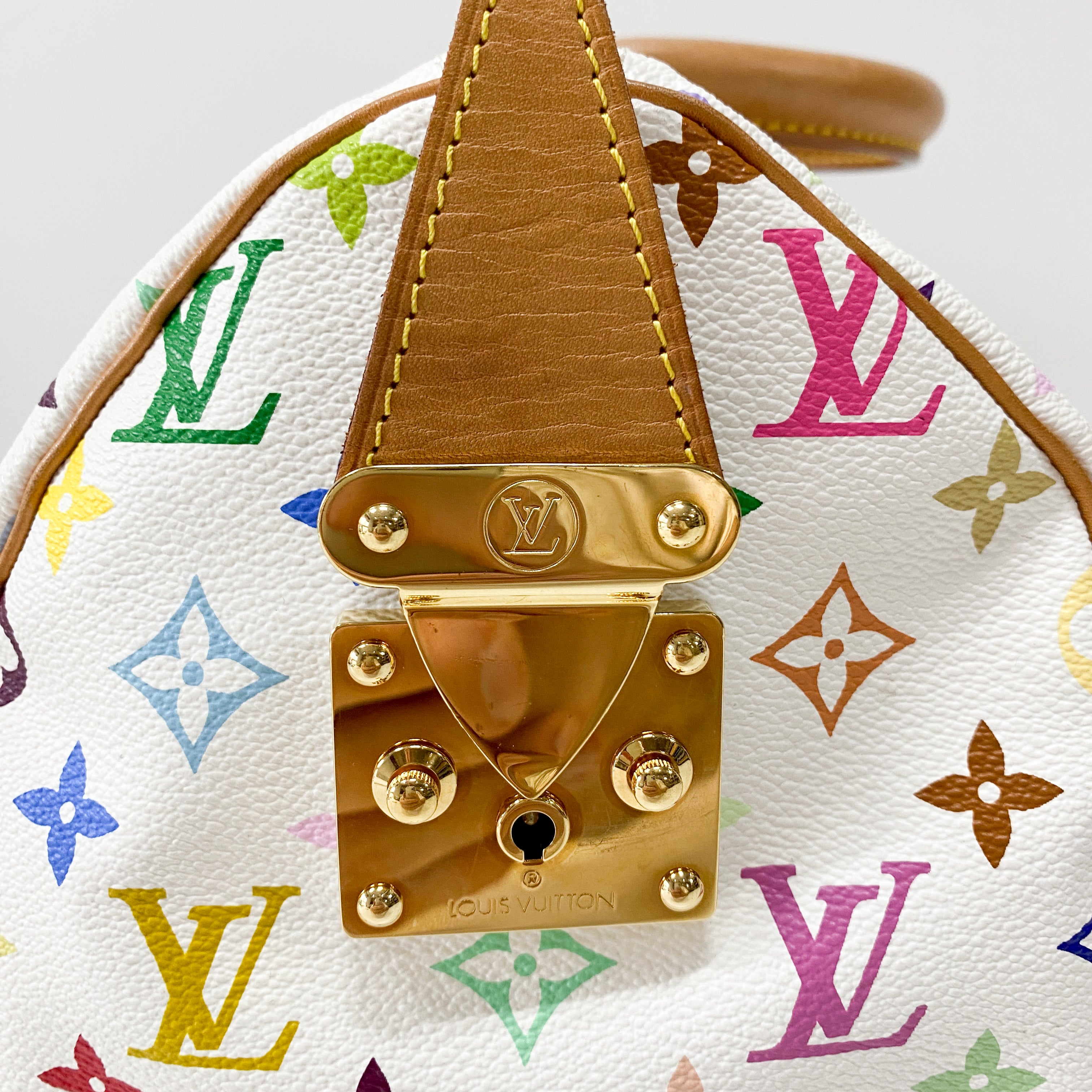 Monogram Multicolore Speedy 30 S-lock
