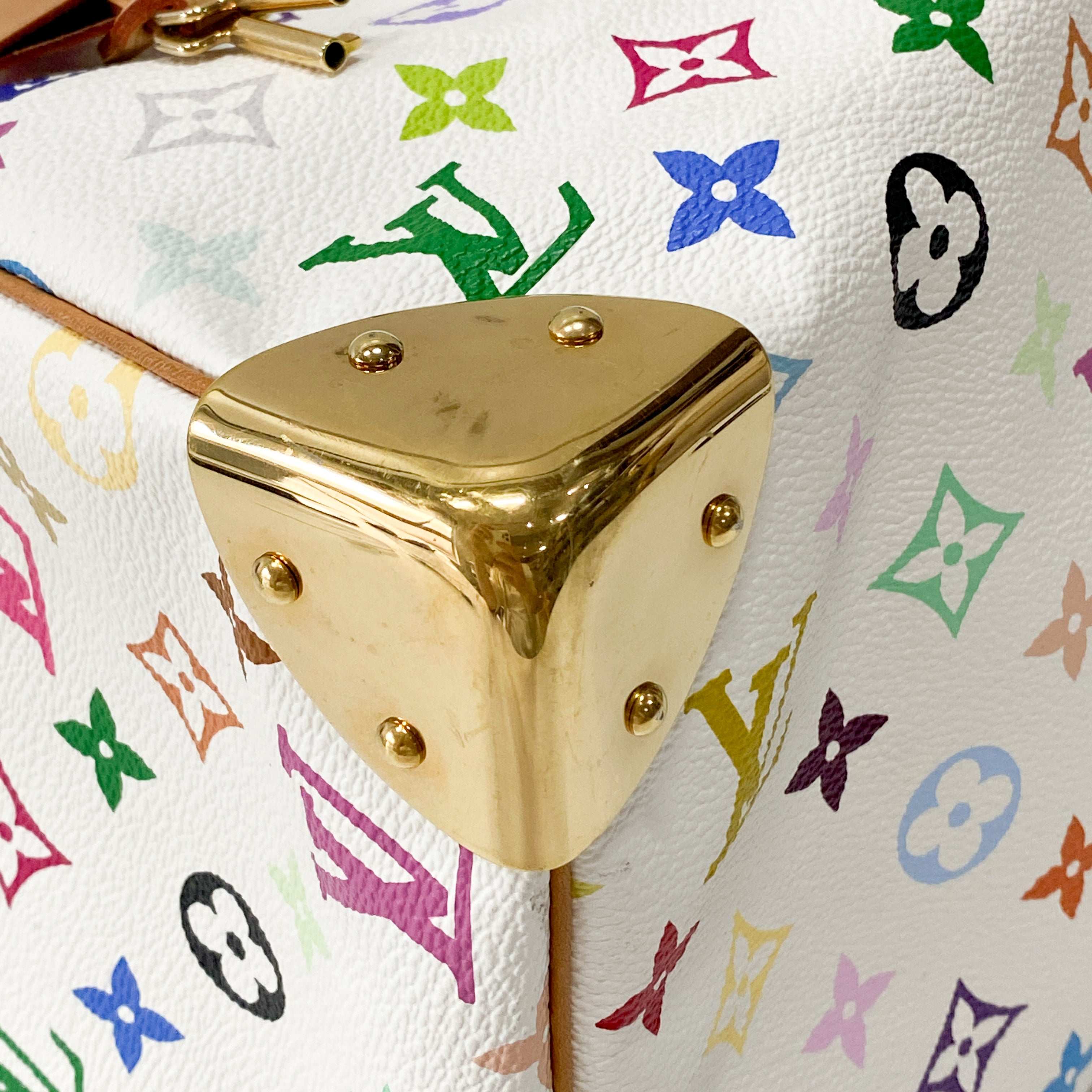 Monogram Multicolore Speedy 30 S-lock