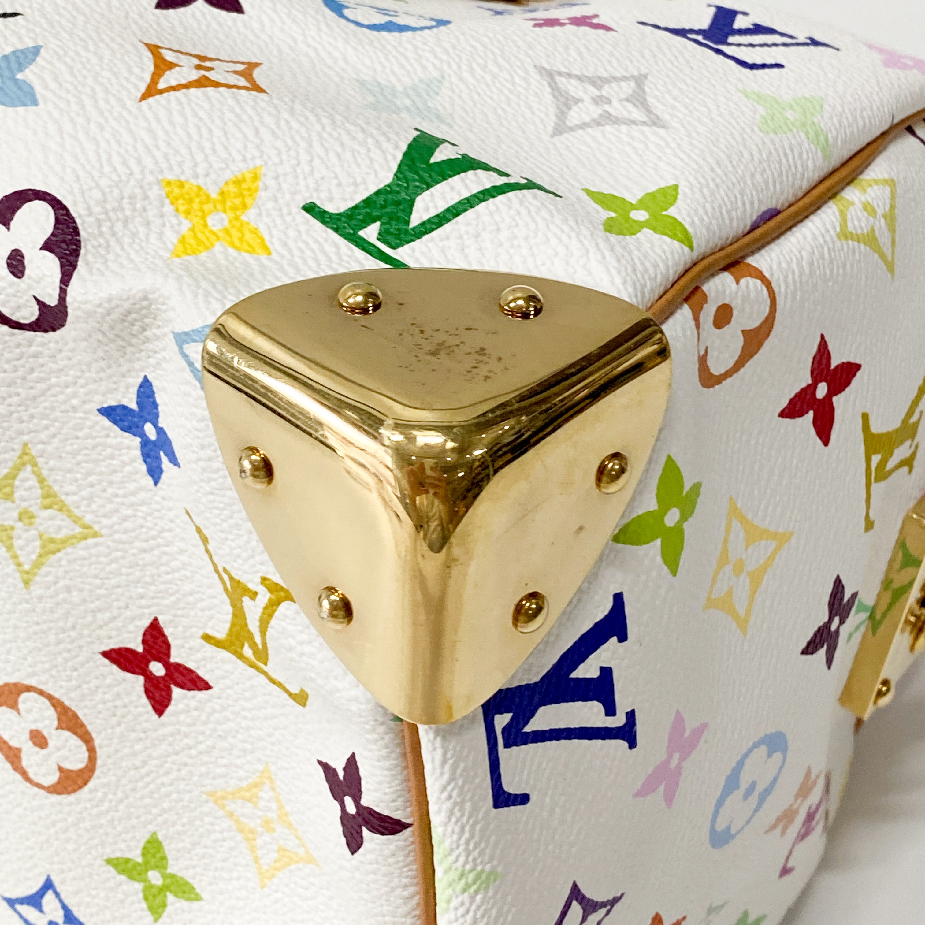 Monogram Multicolore Speedy 30 S-lock