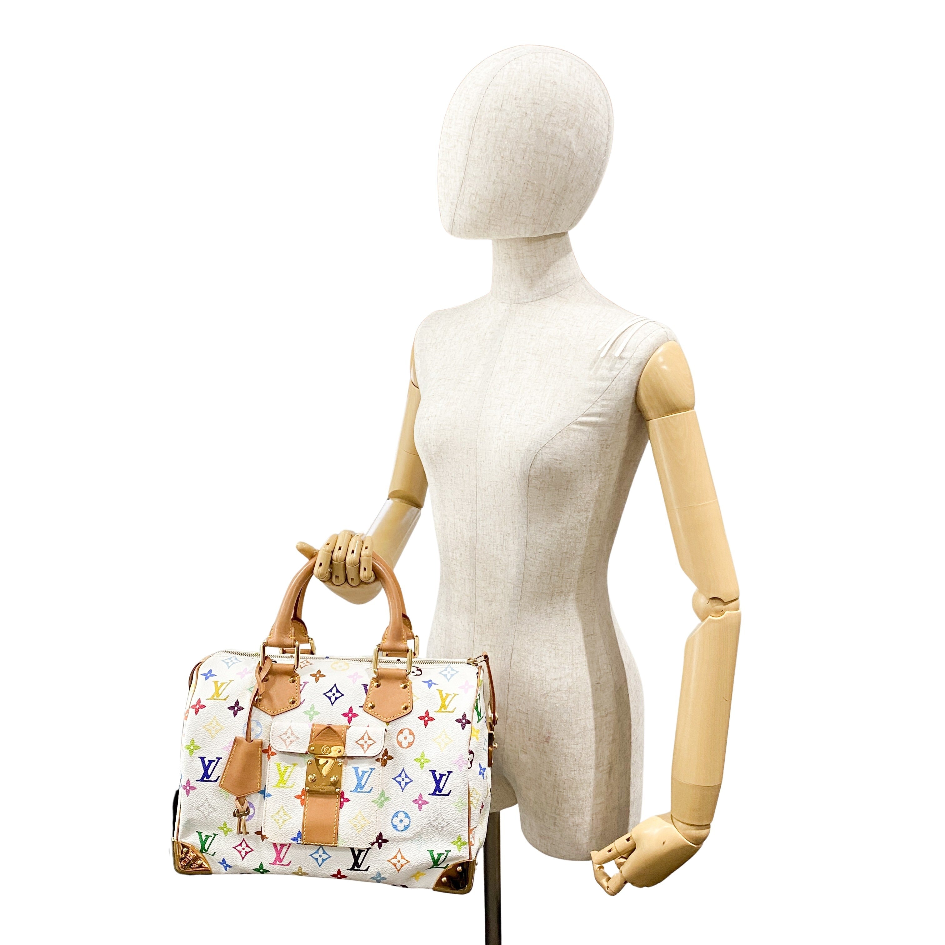 Monogram Multicolore Speedy 30 S-lock