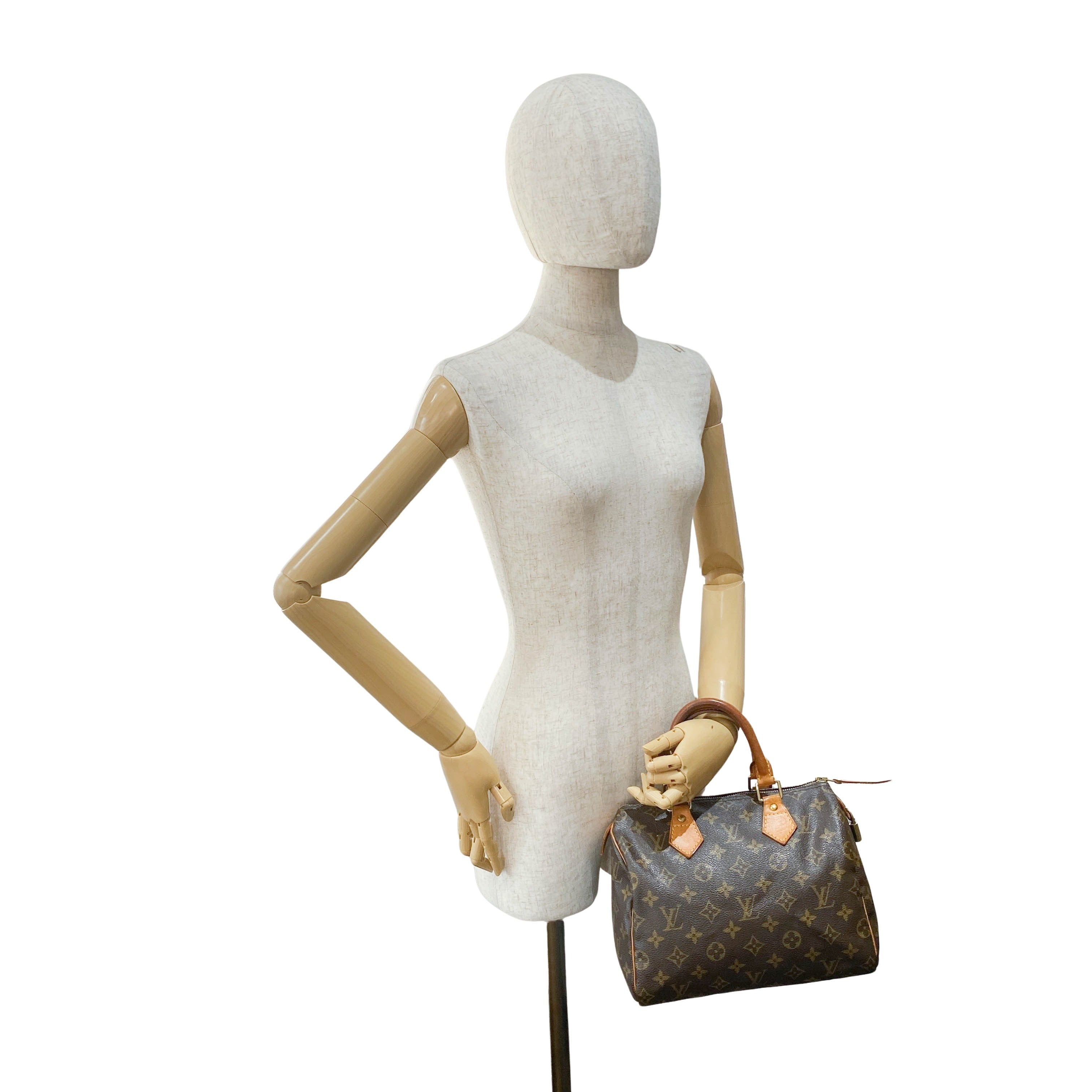 Monogram Speedy 25 Handle Bag