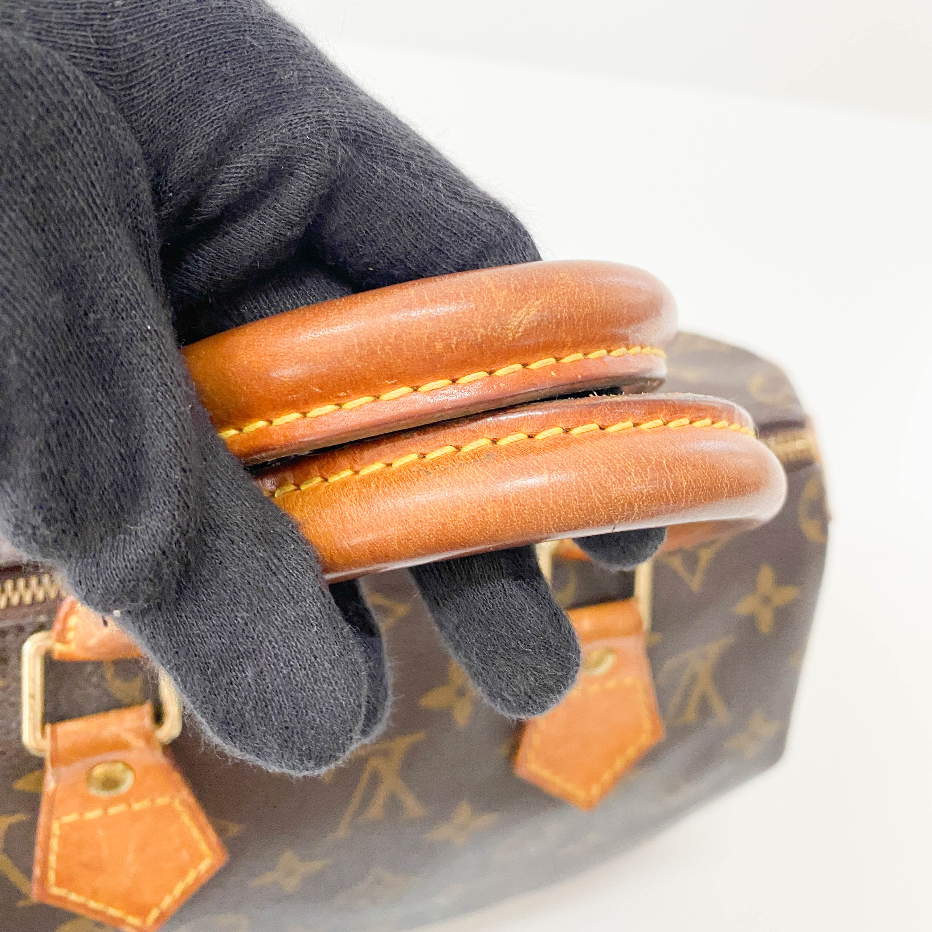 Monogram Speedy 25 Handle Bag