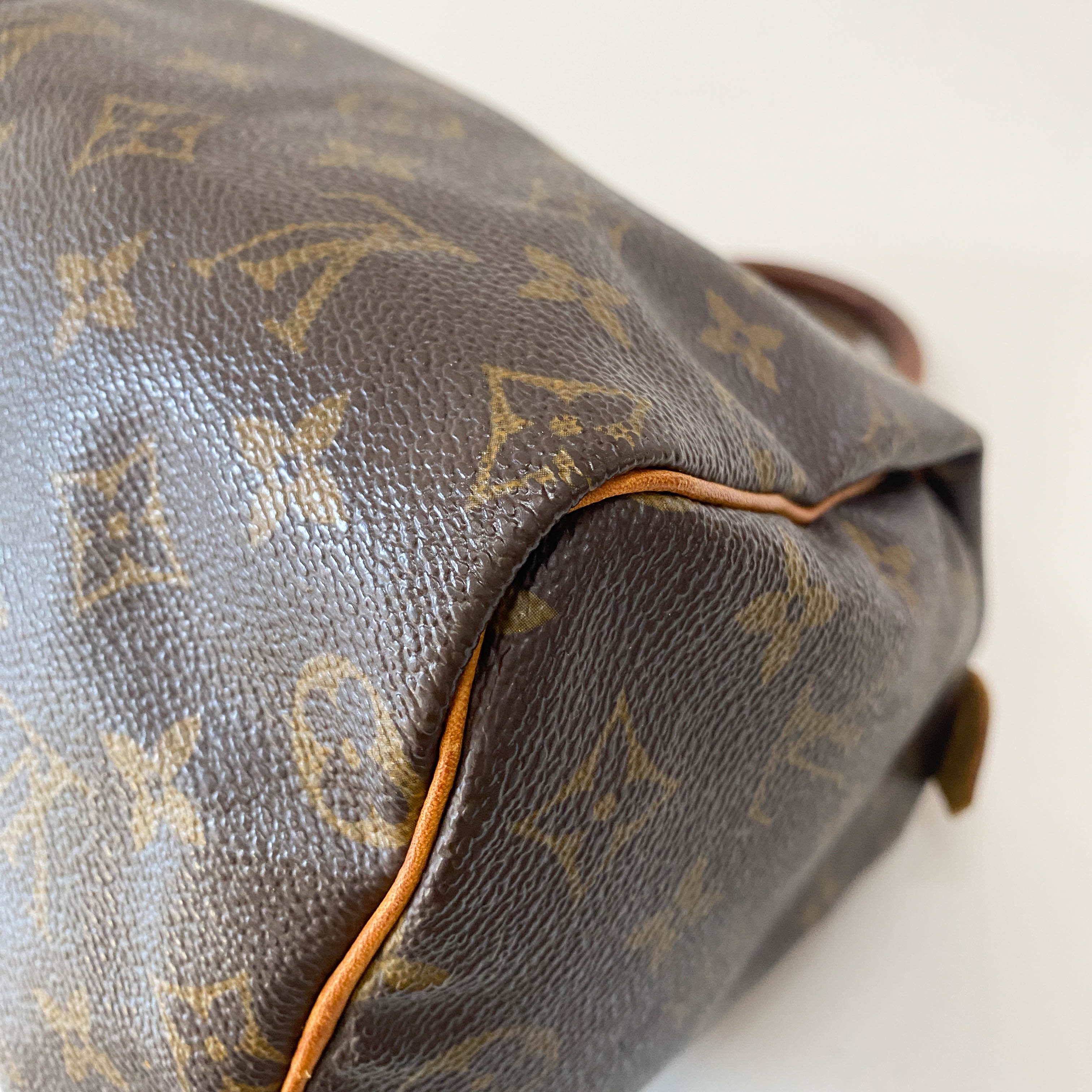 Monogram Speedy 25 Handle Bag