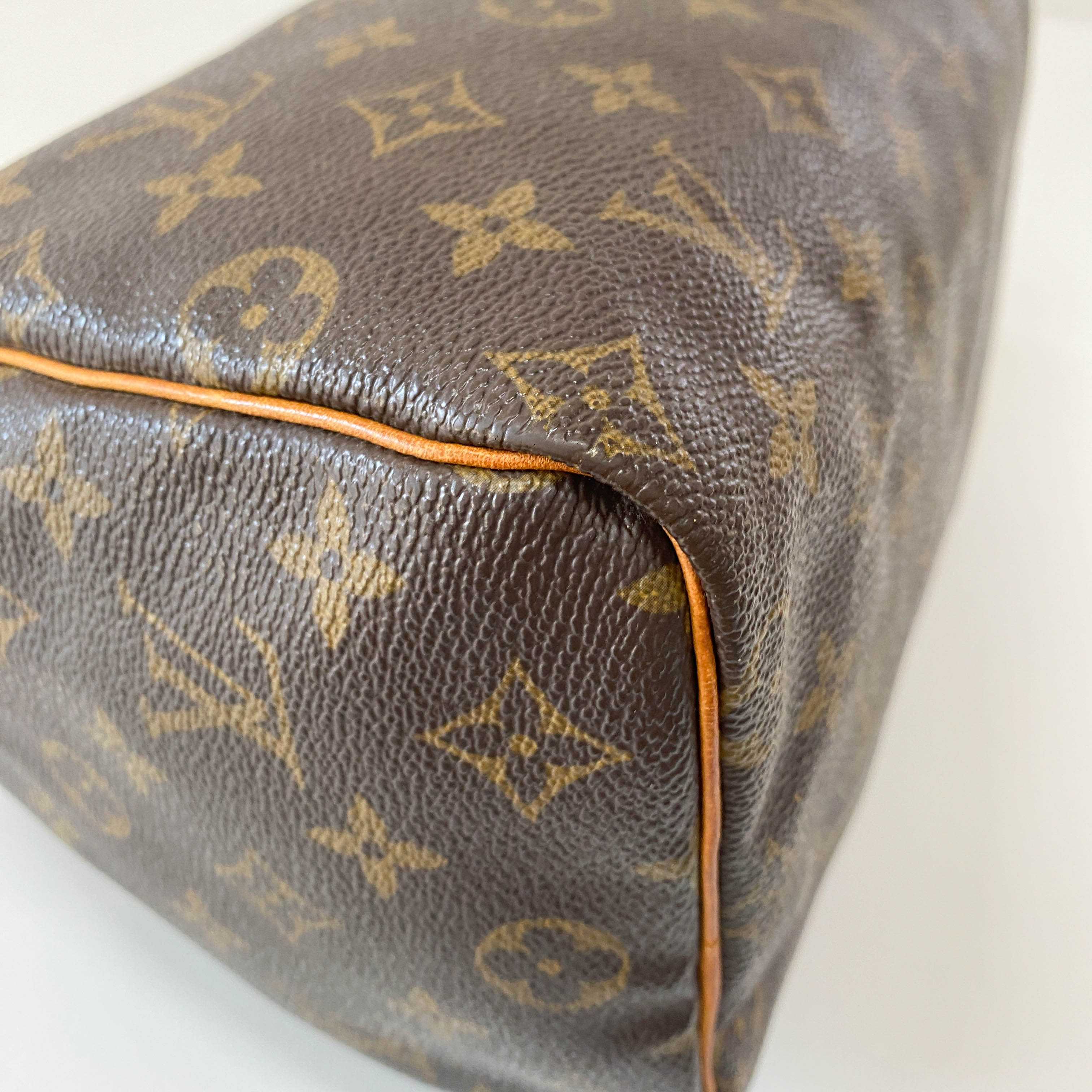 Monogram Speedy 25 Handle Bag