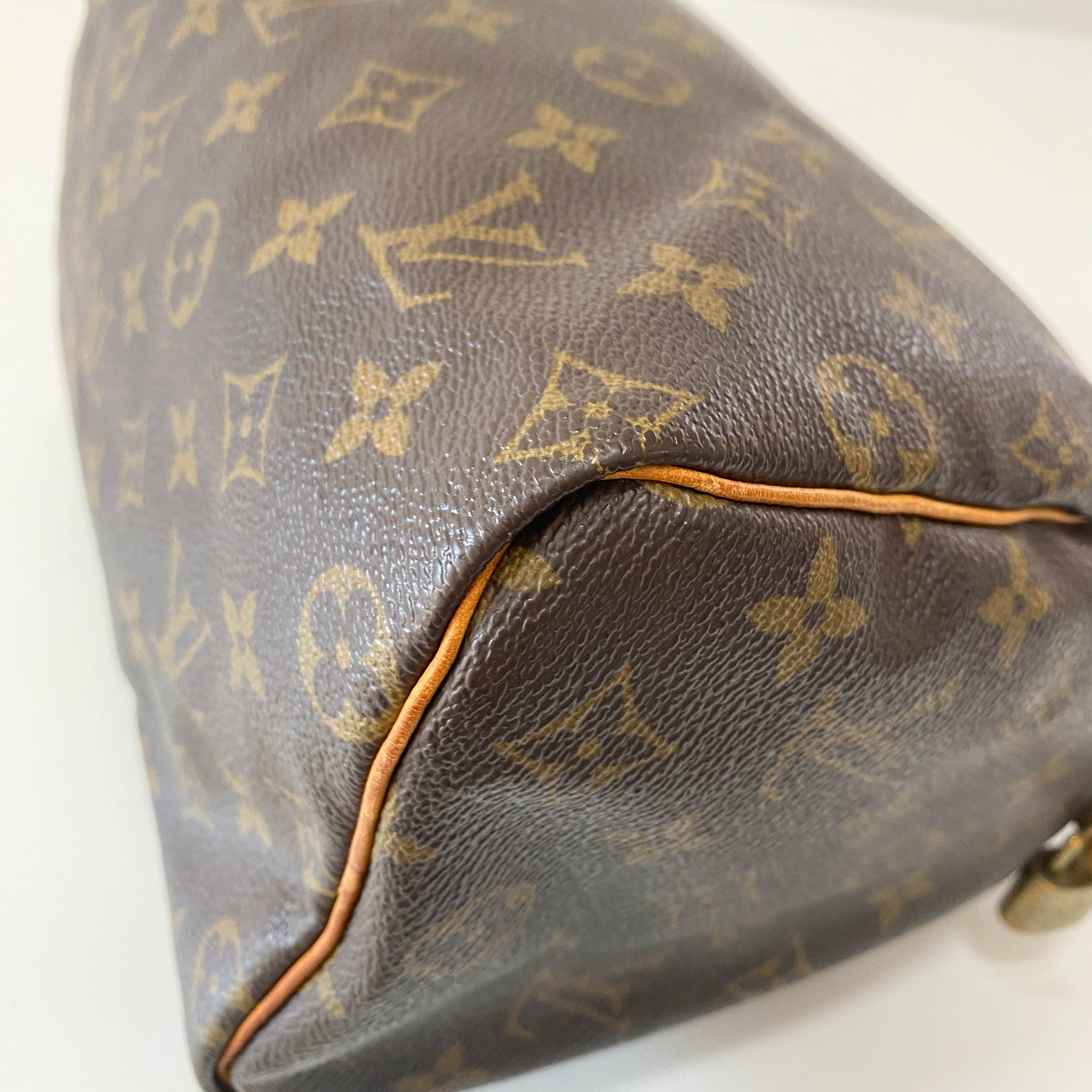 Monogram Speedy 25 Handle Bag