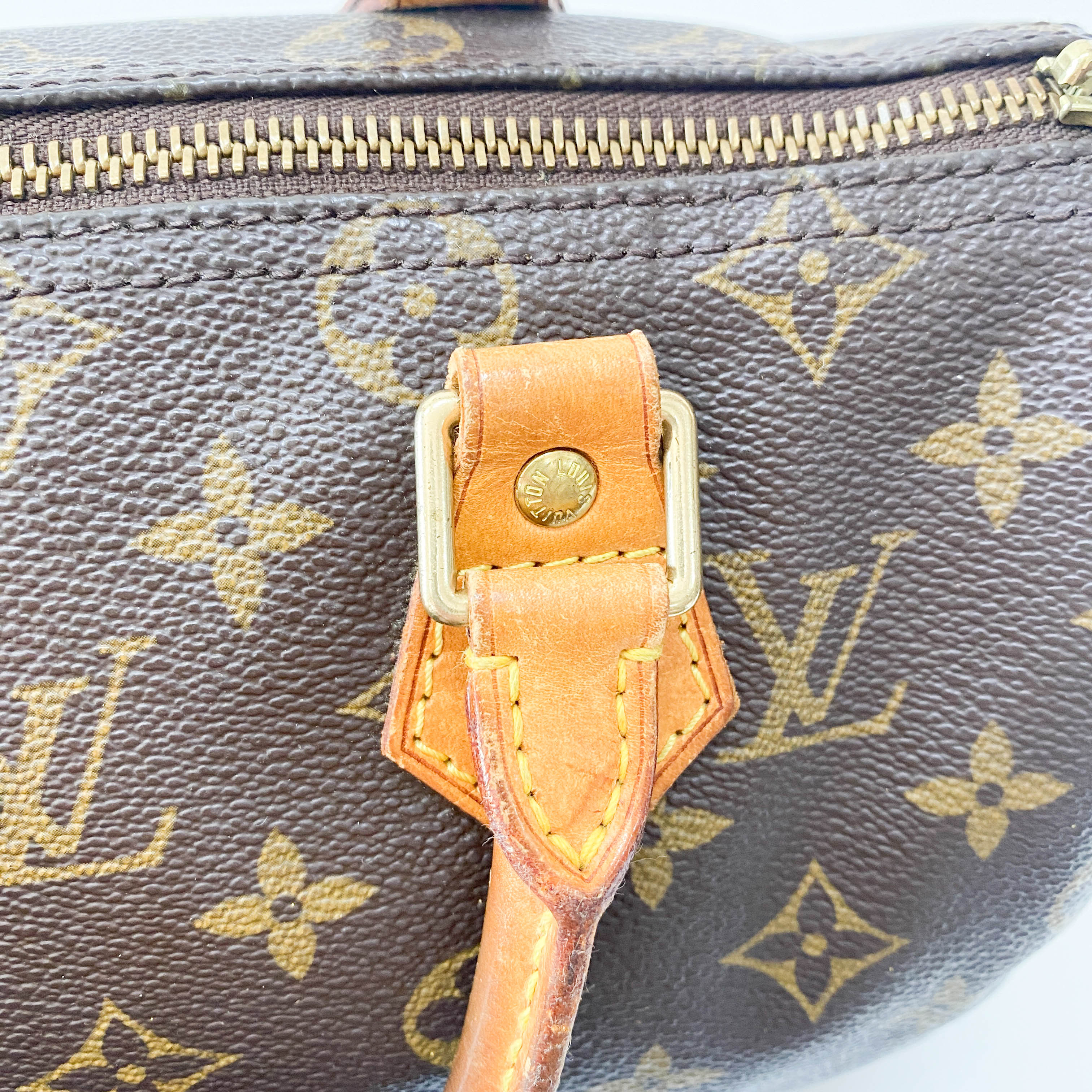 Monogram Speedy 25 Handle Bag