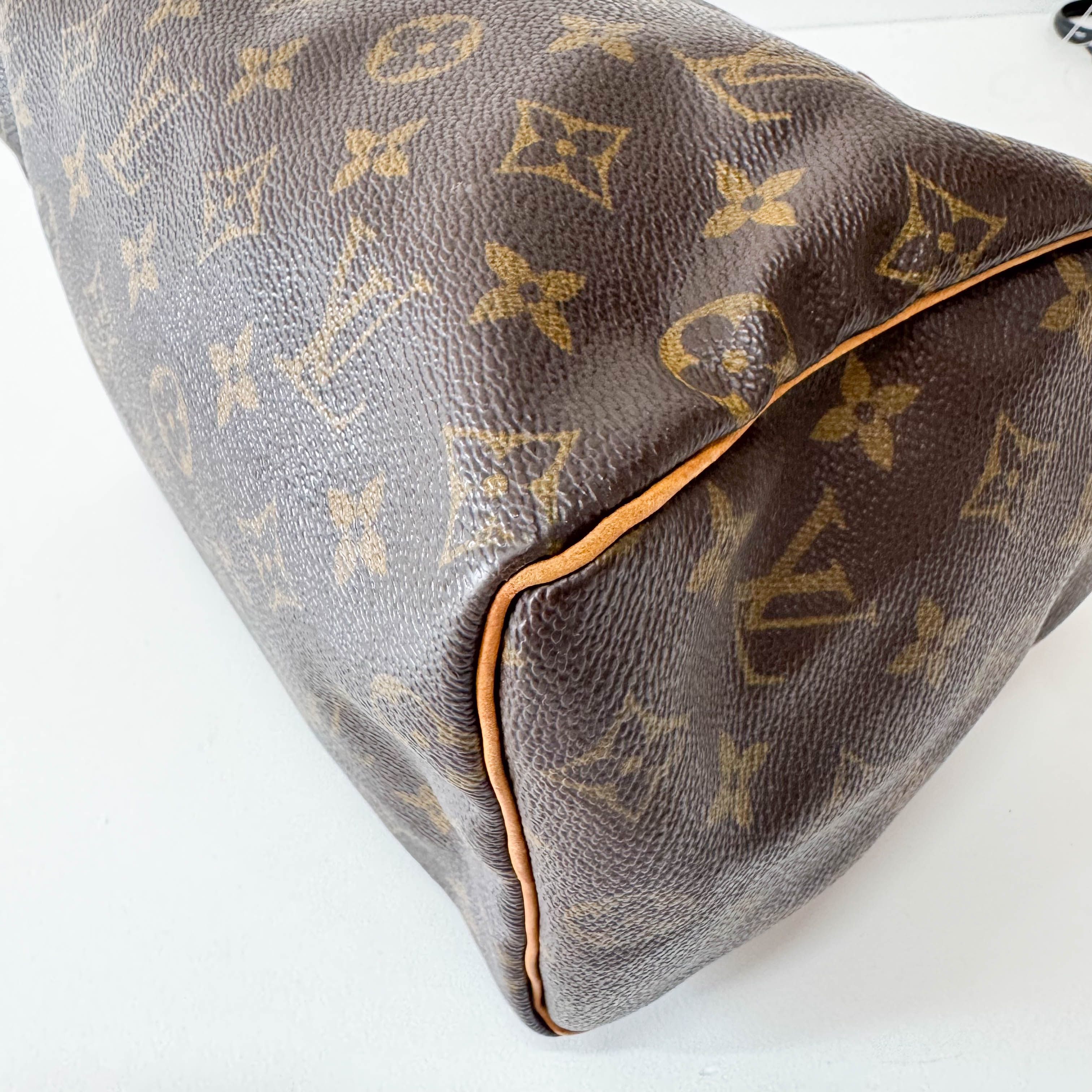 Monogram Speedy 25 Brown Leather Bag