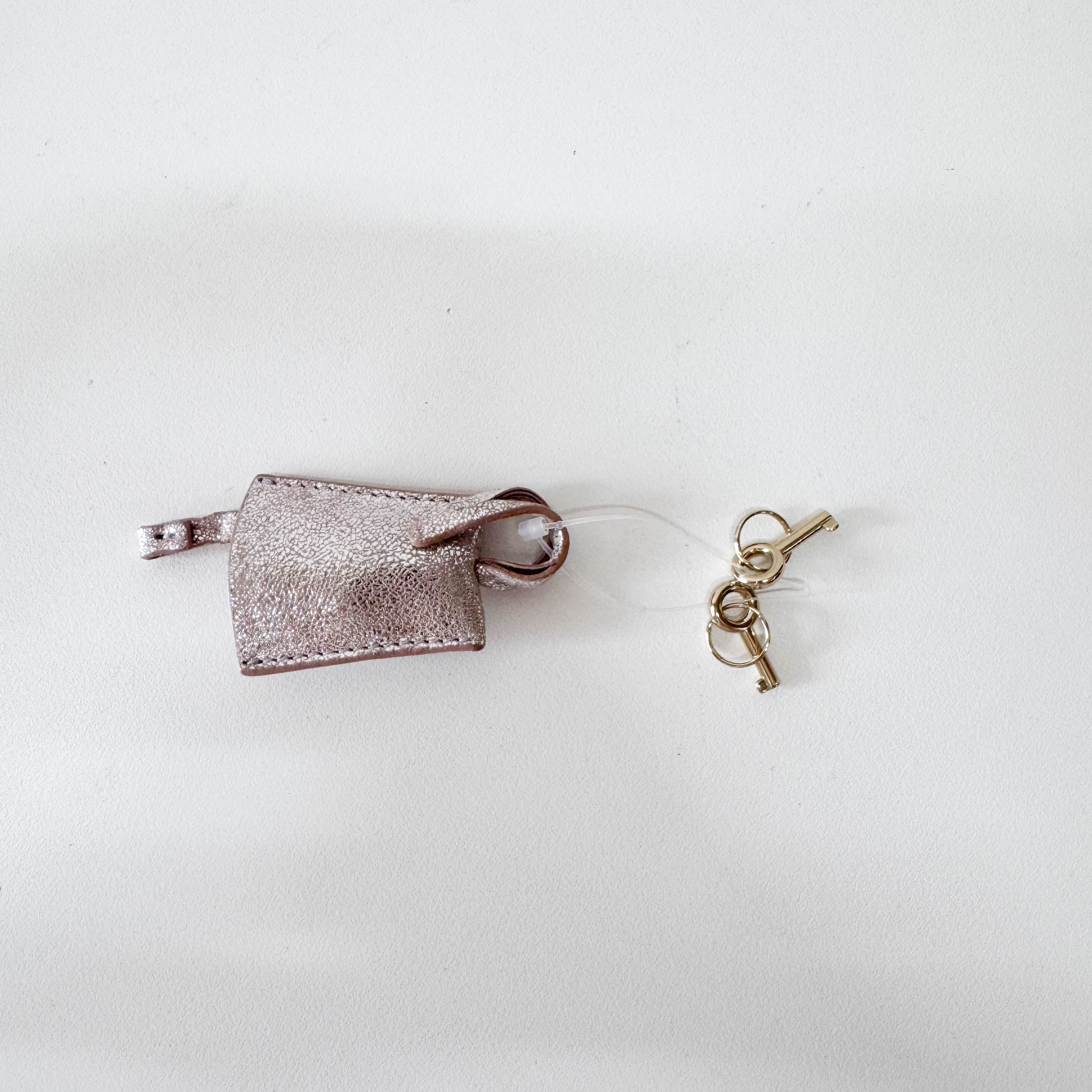 Zucchino Mini Metallic Handle Bag