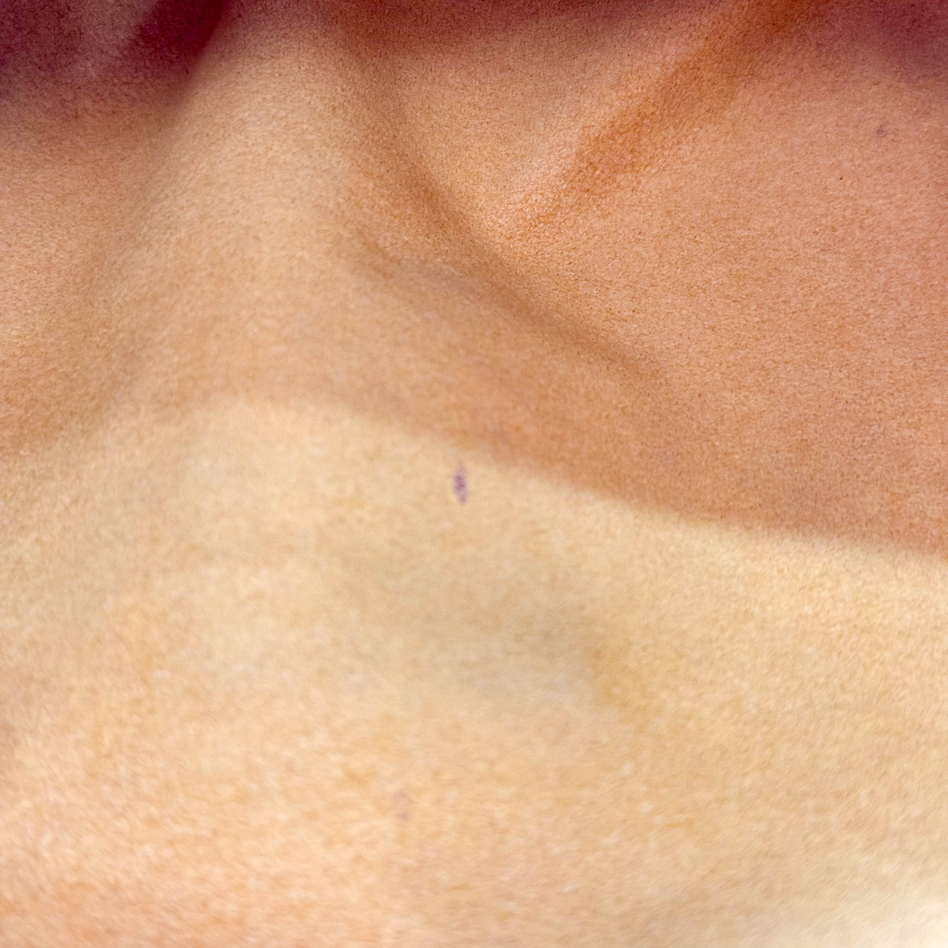 Monogram Blue Denim Mini Pleaty